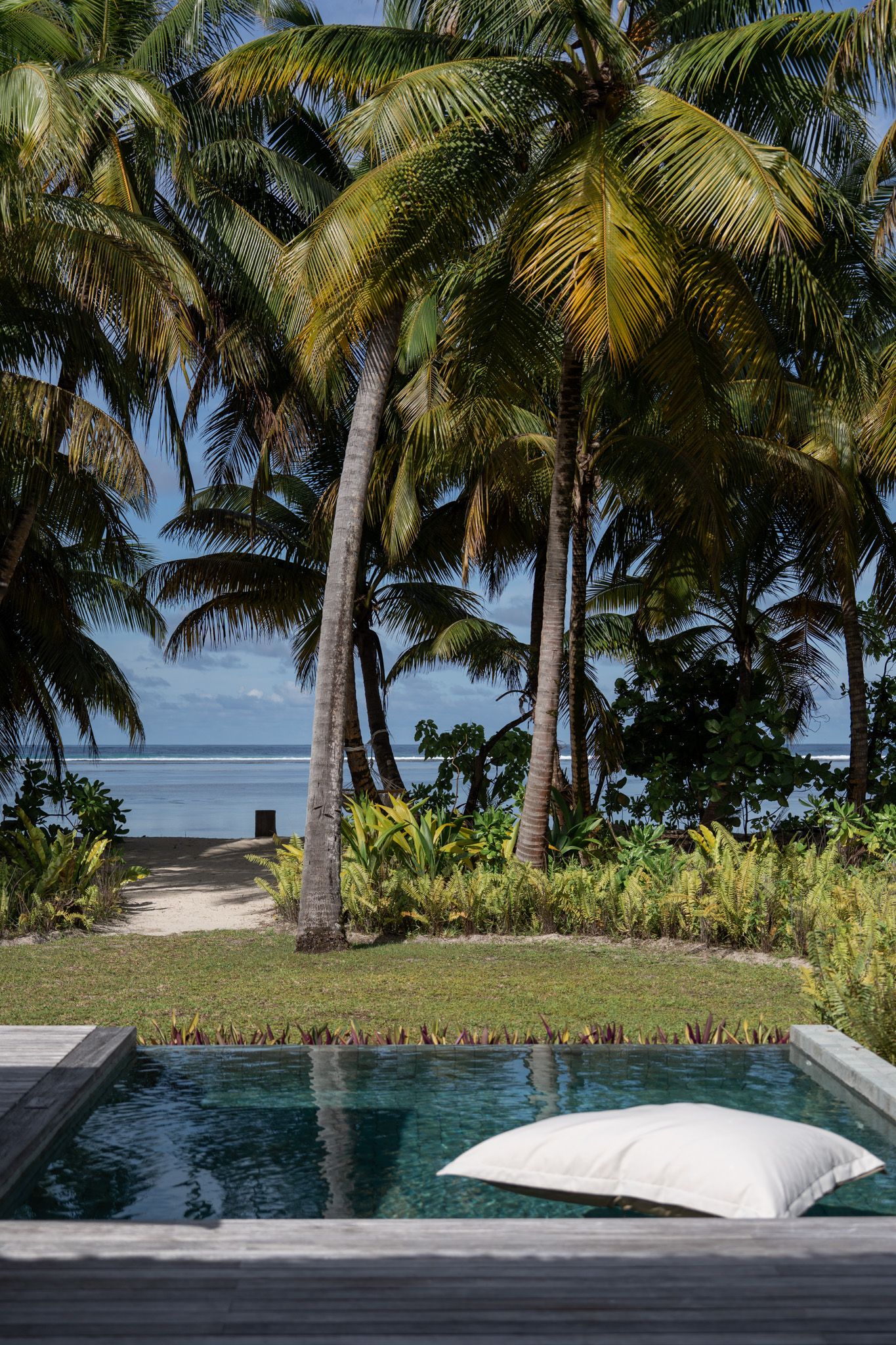 Infinity pool overlooking tropical palm trees and ocean view with floating cushion.