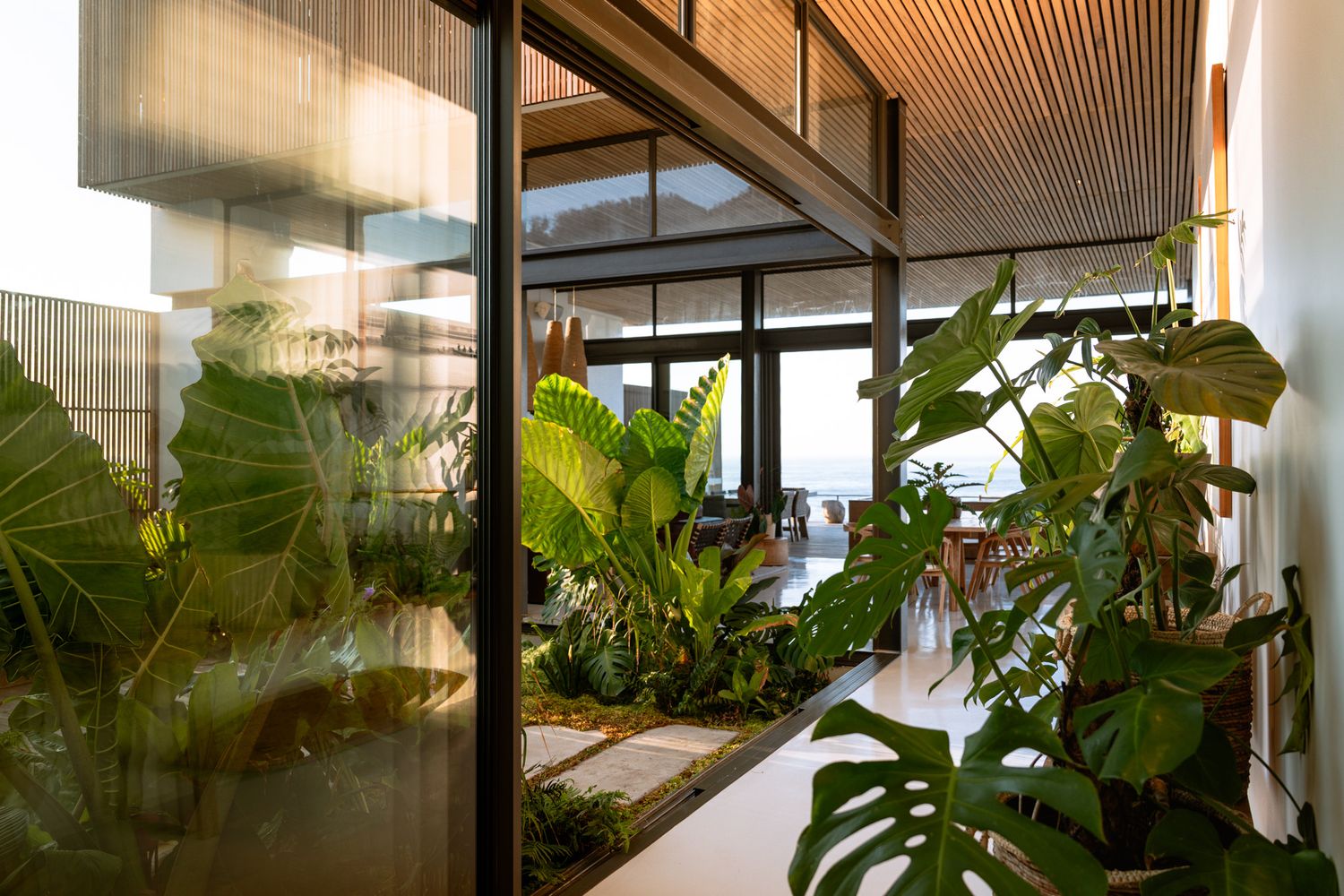 Contemporary hallway with glass walls and lush tropical plants leading to ocean views.