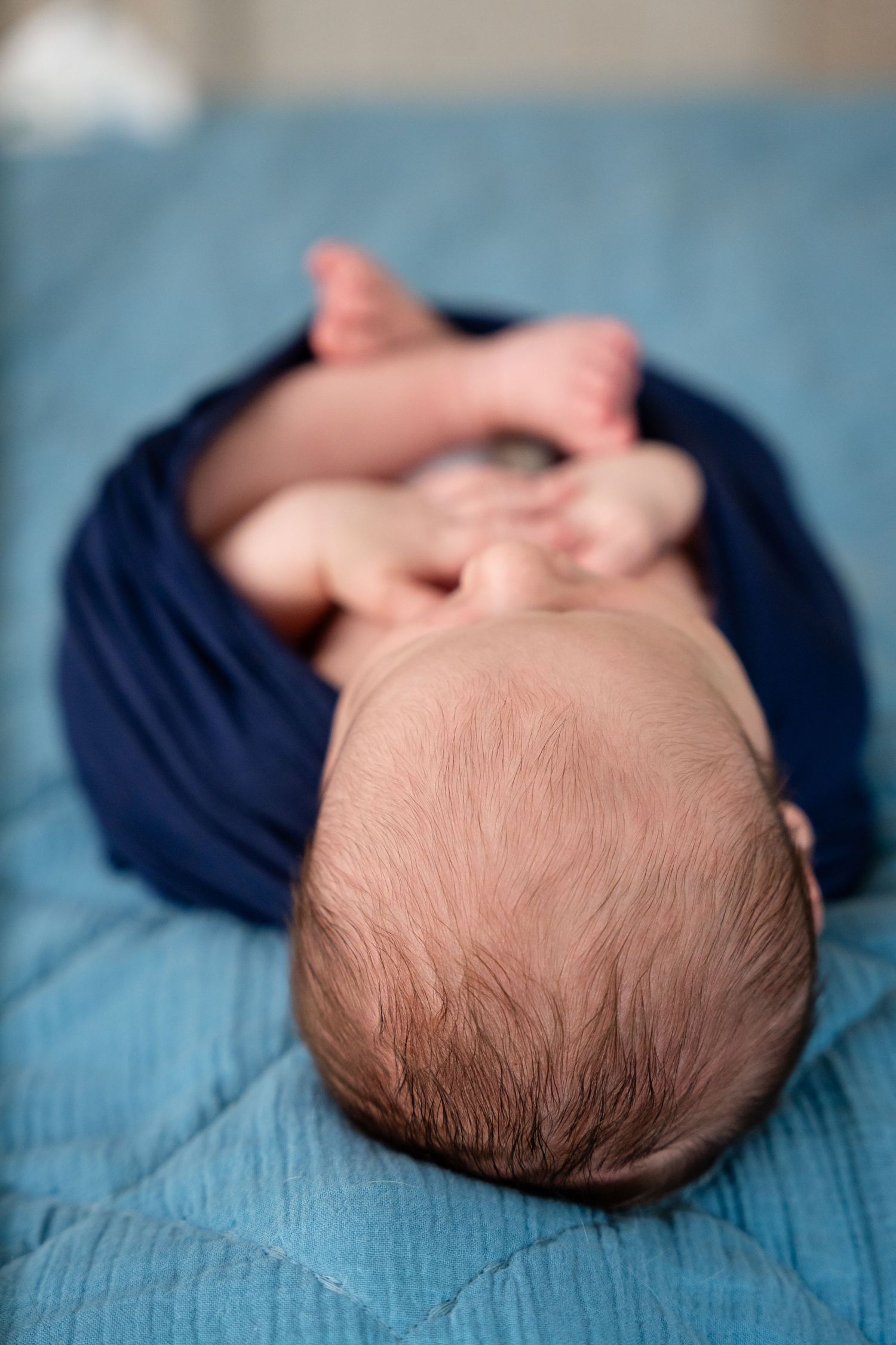 Newborn baby wrapped in navy fabric resting on blue quilted blanket, viewed from behind.