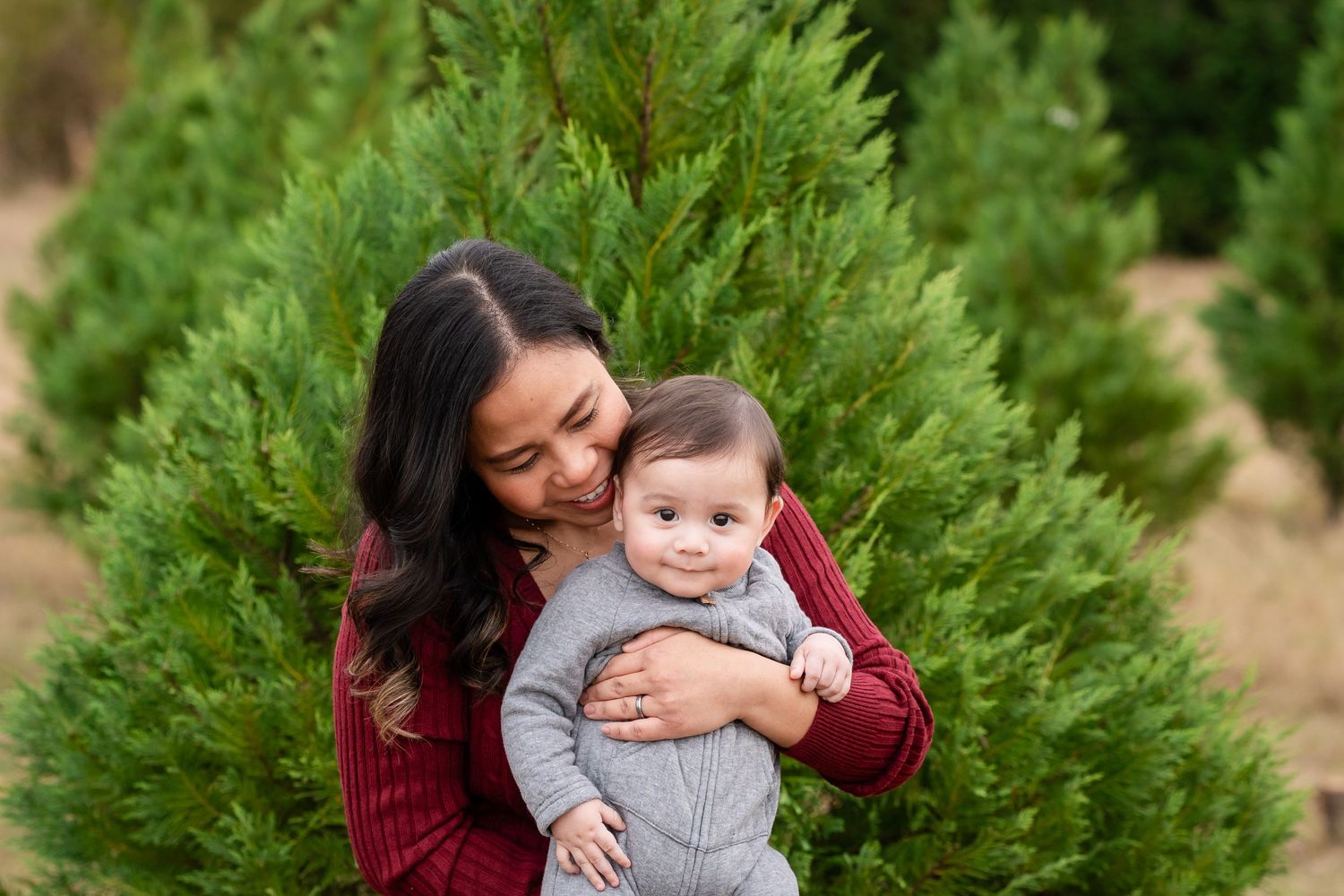 Family portraits captured against lush evergreen trees in warm autumn light.