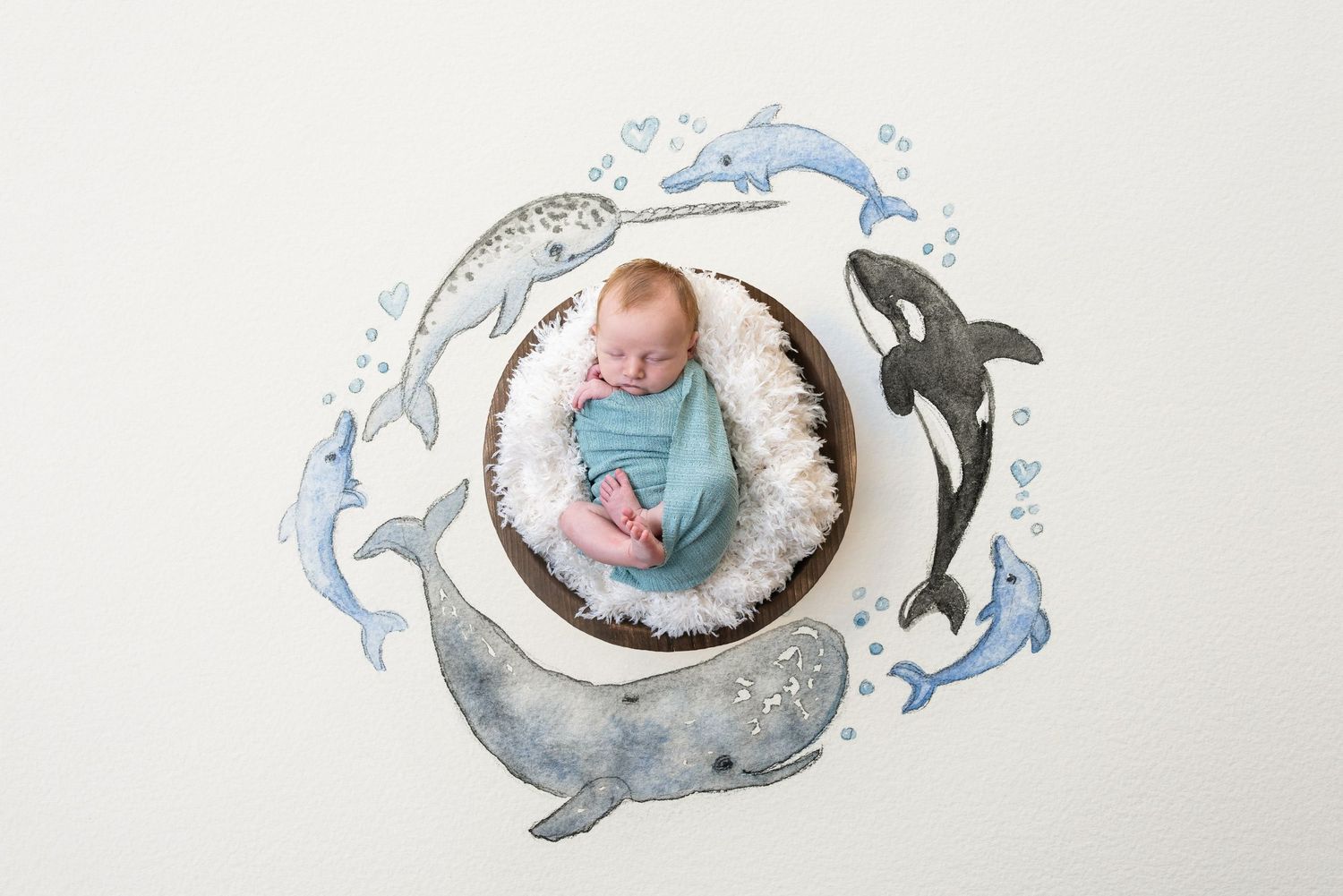 Newborn baby photography with watercolor whale and ocean theme decorations.