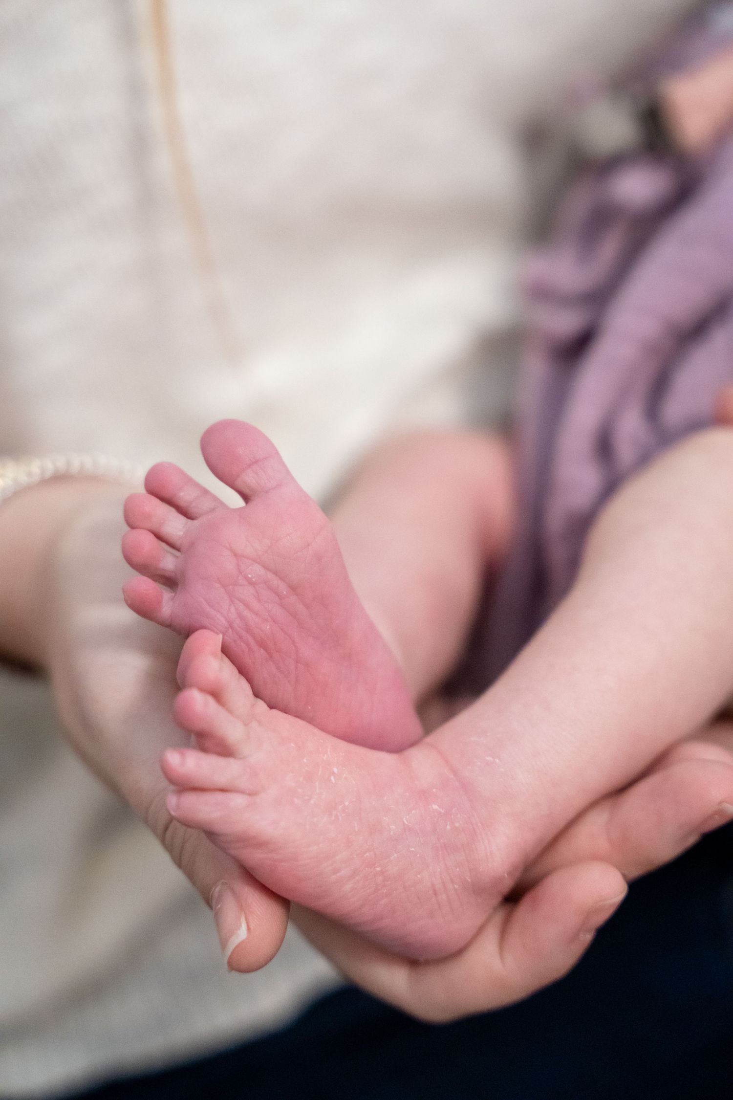 Close-up of a newborn baby's tiny feet cradled gently in an adult's hands.