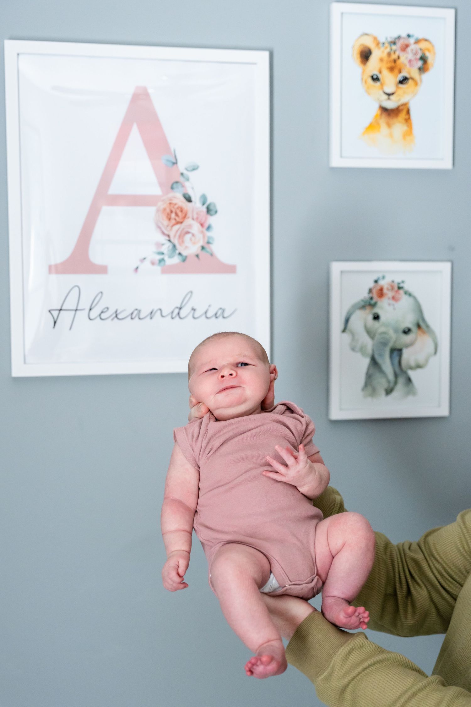 Baby girl in pink onesie held up in nursery with Alexandria name art and cute animal prints on blue wall.