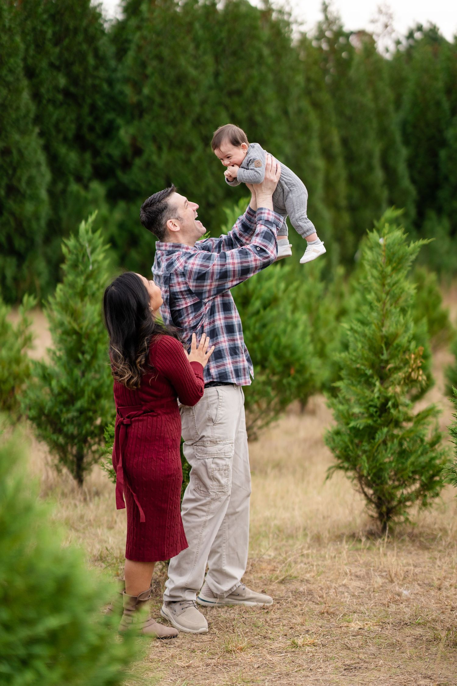 Playful family poses between rows of evergreen trees on a sunny afternoon.