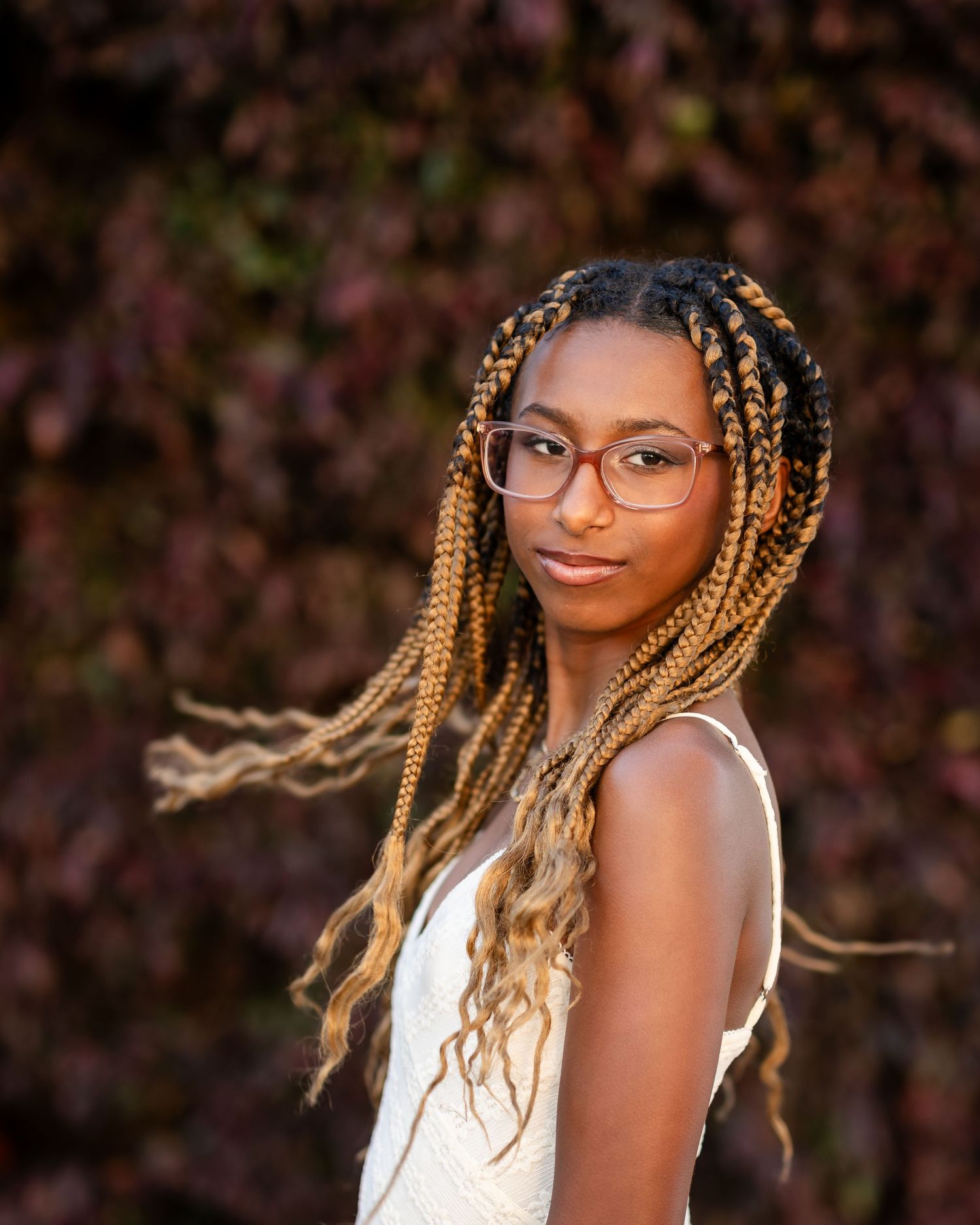 Portrait showing stylish braided hair with honey-blonde highlights against a dark background.