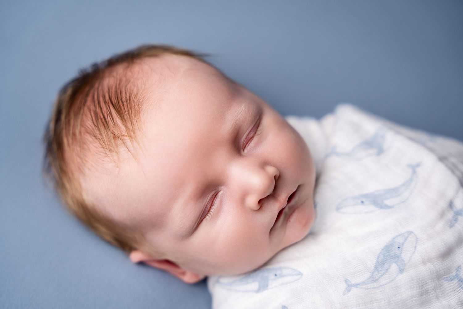Artistic photography of a sleeping newborn in soft white fabric against a pale blue background.
