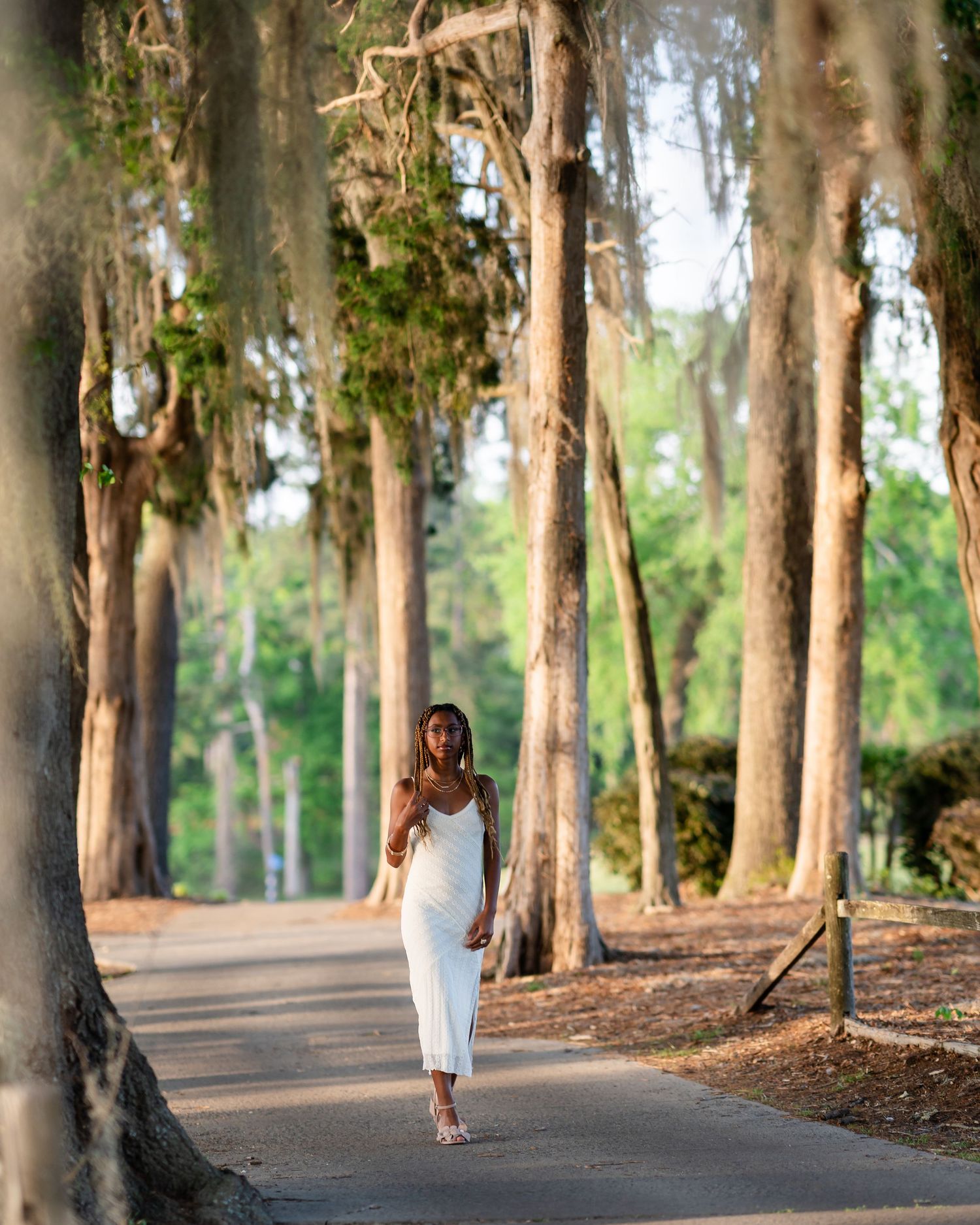 Tree-lined path in a park creates a natural tunnel effect.