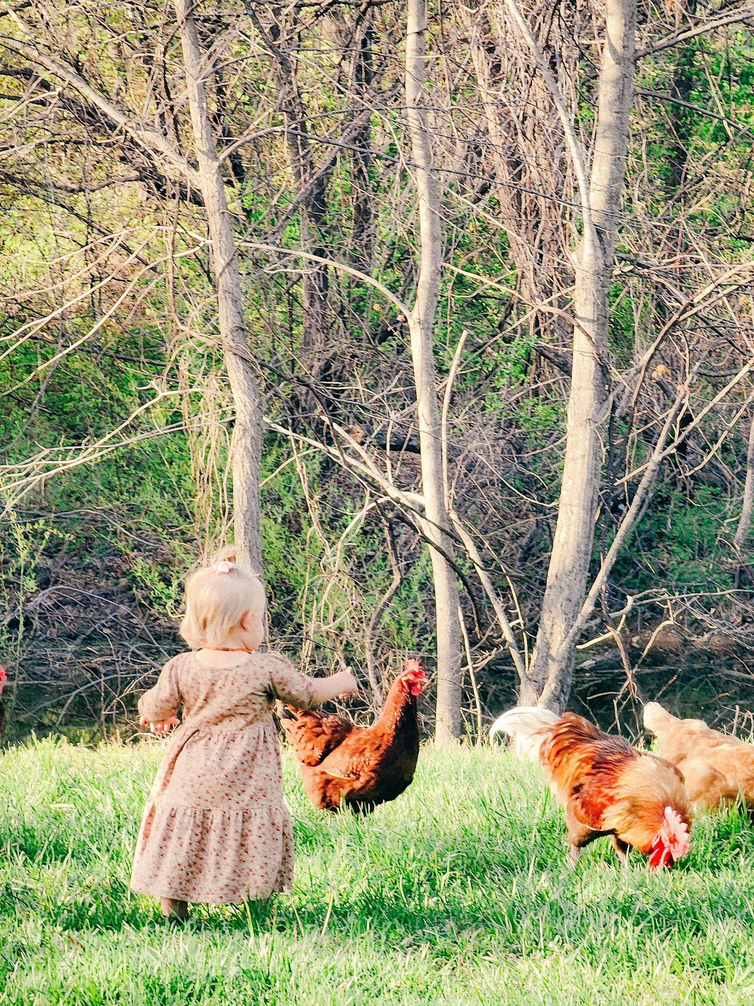 Rolla, MO wedding photographer. Timeless authentic elegant film inspired true color light airy classic photography.