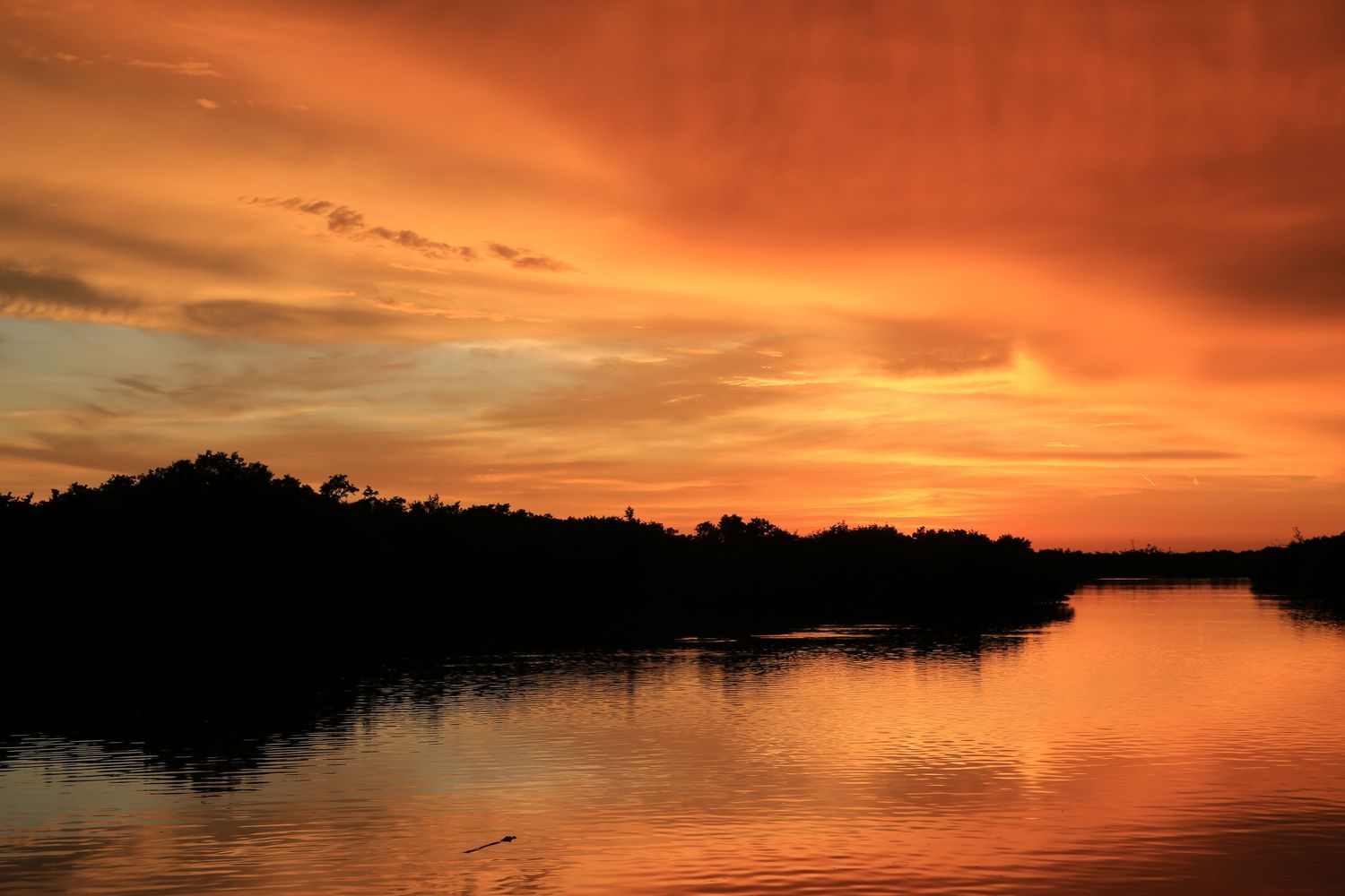 Stunning orange sunset panorama over a calm lake with silhouetted trees reflecting on the tranquil water's surface.