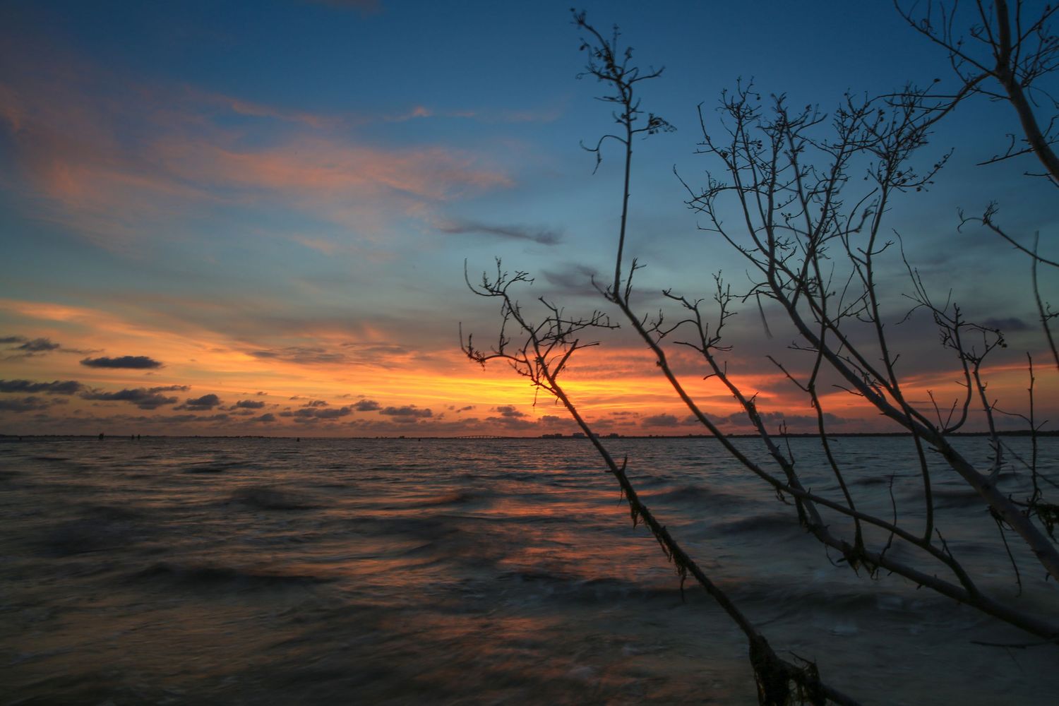 Silhouetted bare tree branches frame a dramatic orange and purple sunset over dark ocean waters.