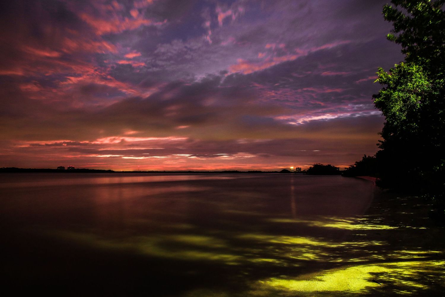 Dramatic sunset sky reflects vibrant pink and purple hues over dark silhouetted trees and water.