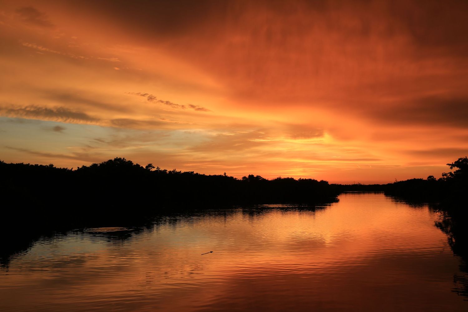 Dramatic orange sunset reflects on calm river waters with silhouetted trees lining the shores.