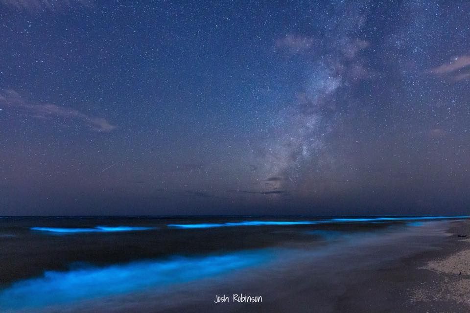Bioluminescent waves glow bright blue along a dark beach shoreline under the Milky Way at night.