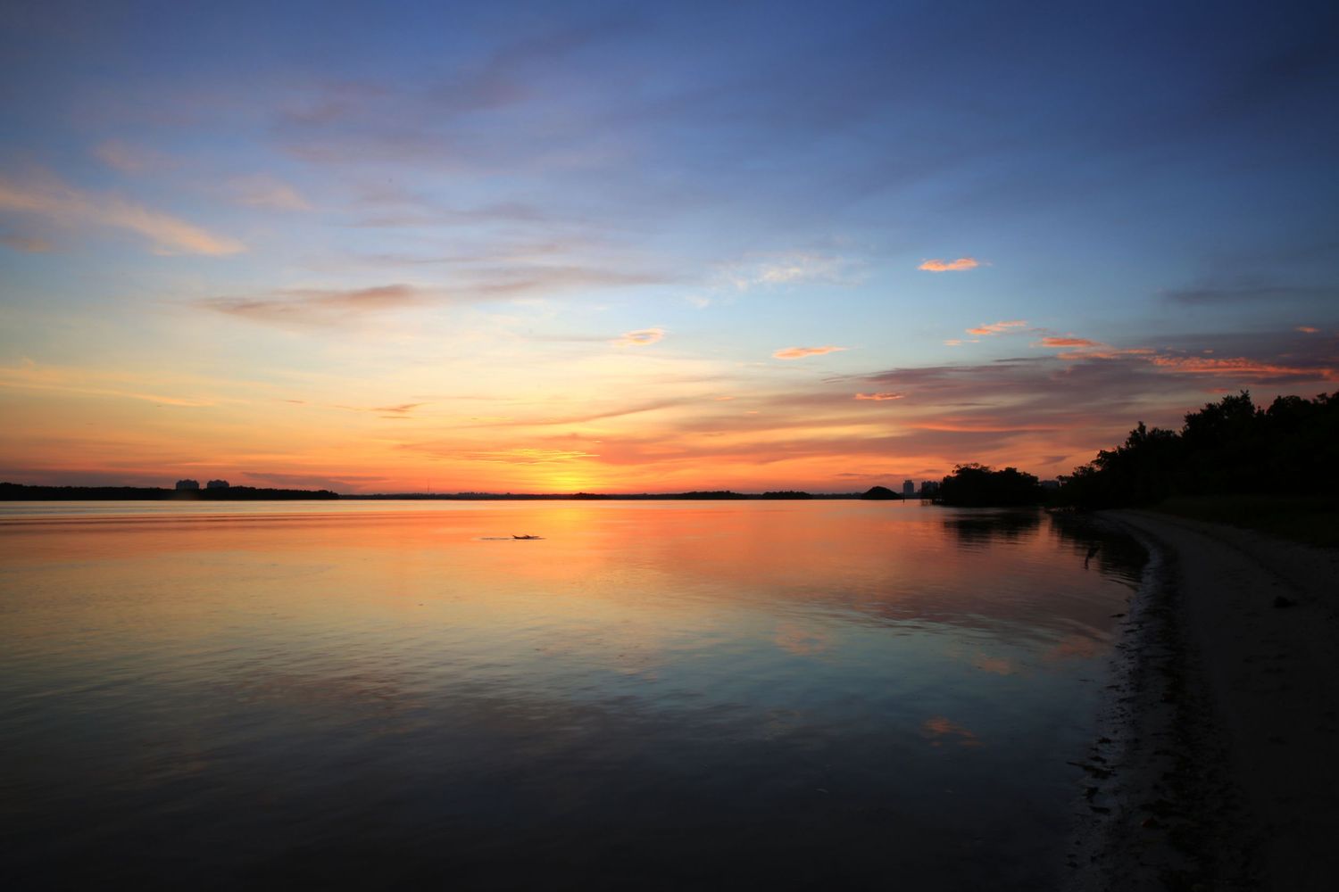 A stunning series of sunset photographs showing vibrant orange skies reflecting over calm ocean waters at dusk.