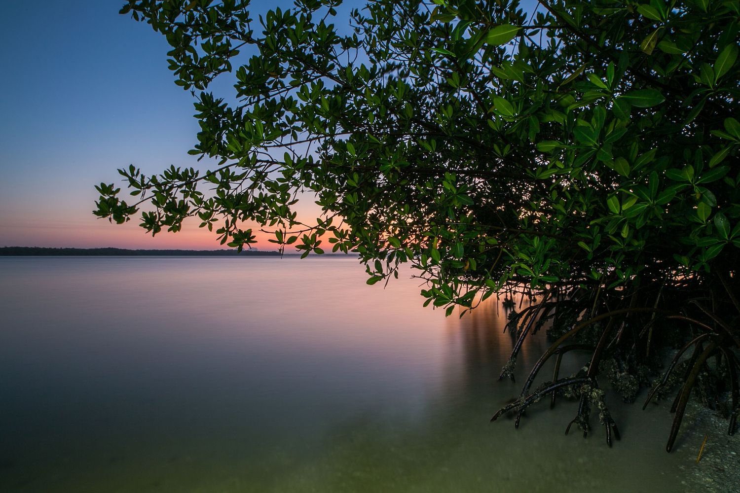 A panoramic sunset view over a tranquil lake with silhouetted tree branches framing the colorful evening sky.