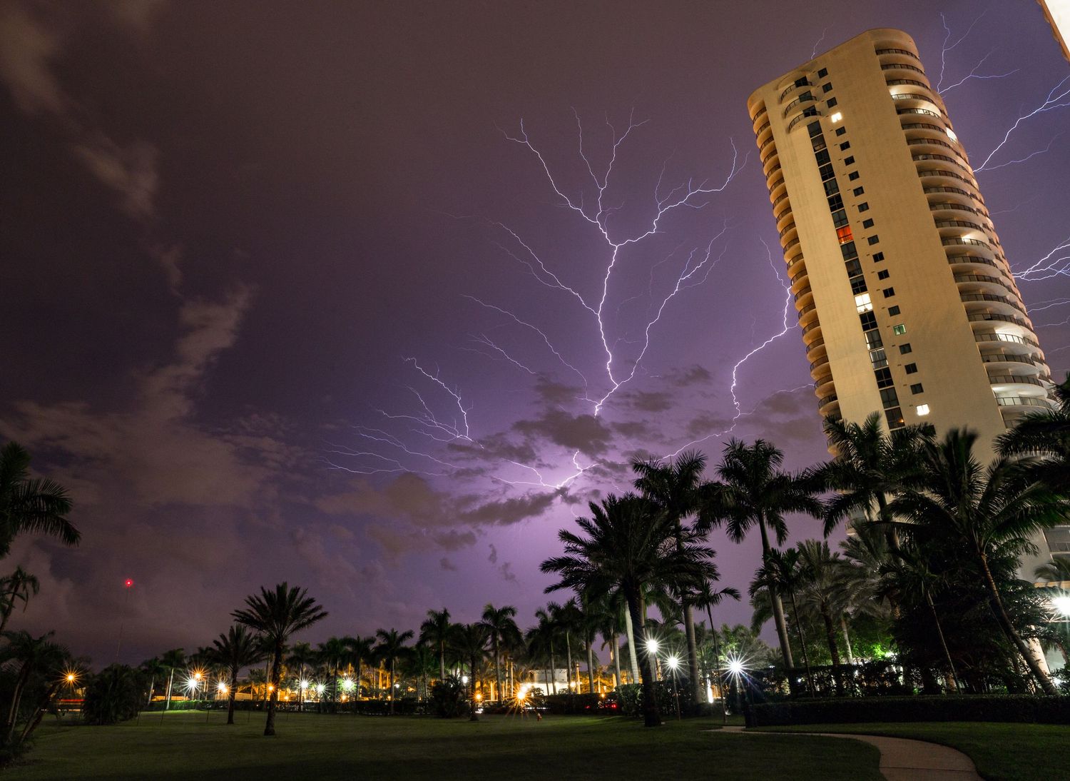 Lightning bolt strikes behind a tall residential tower and palm trees during a dramatic nighttime storm in Florida.