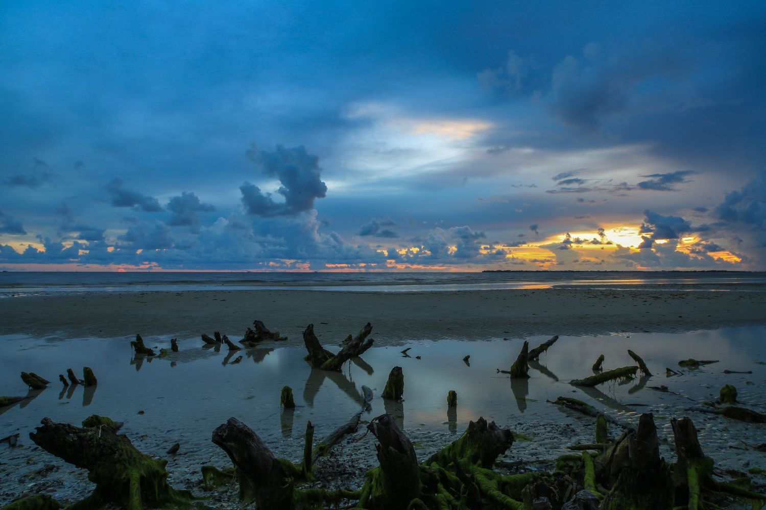 Dramatic sunset over ocean with silhouettes of seabirds flying across a moody blue and orange sky.