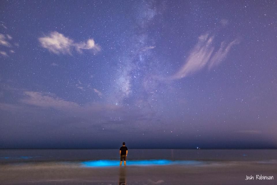 A stunning composite of seven night sky photos showing bioluminescent waves glowing beneath the Milky Way galaxy.