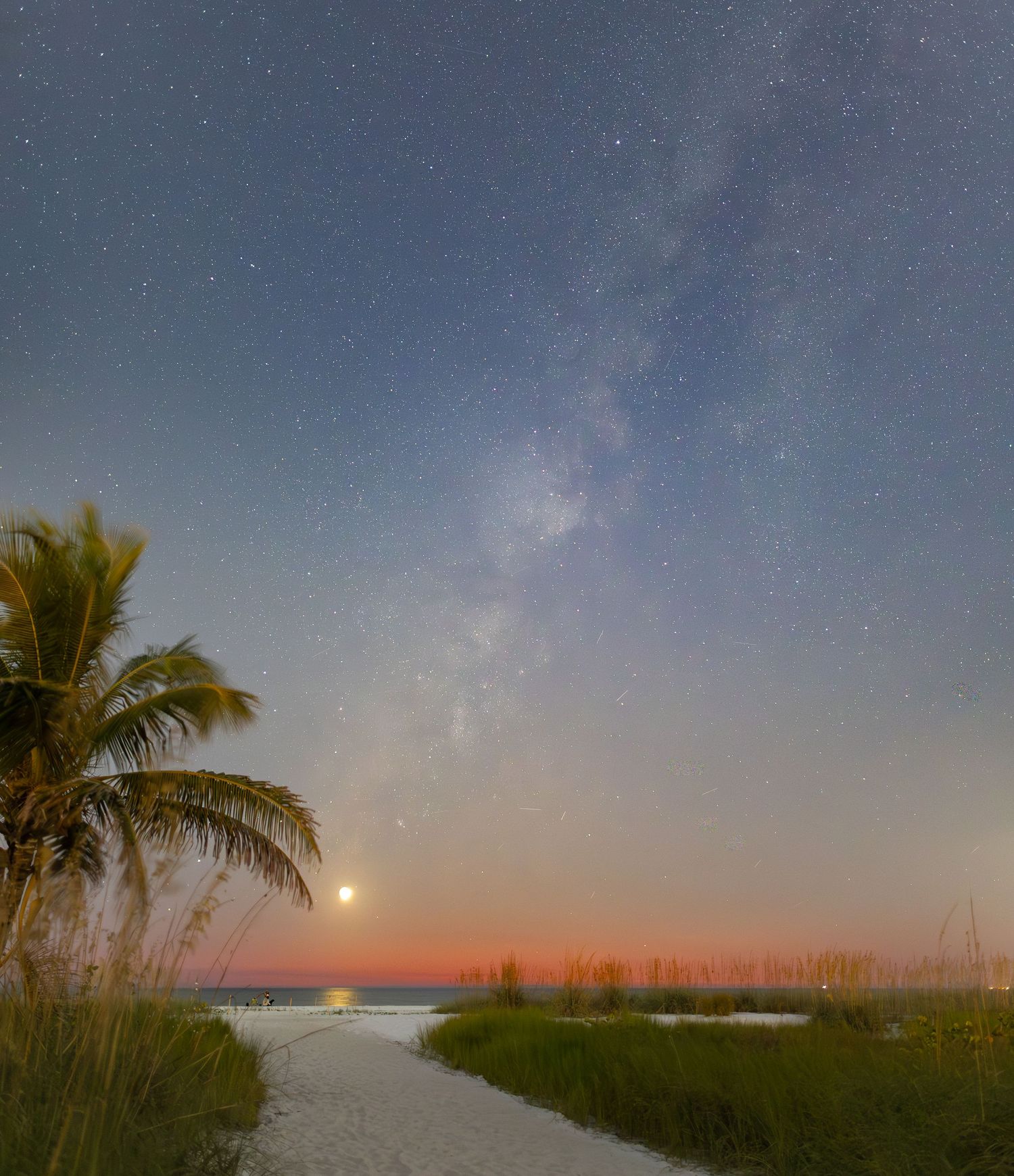 A panoramic view of a beach path through sea oats leading to the ocean under a starlit twilight sky with palm trees.