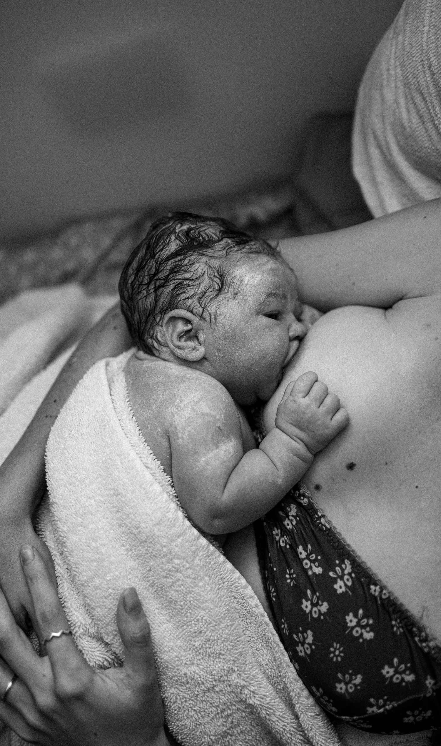 birth photography cairns photographer