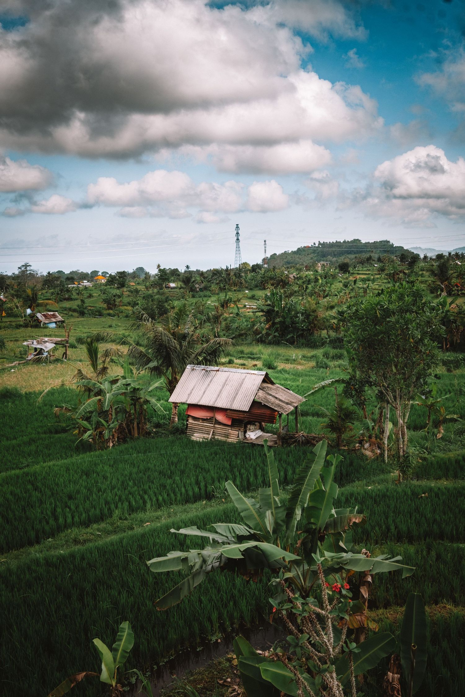 cinematic travel portrait with a scenic backdrop