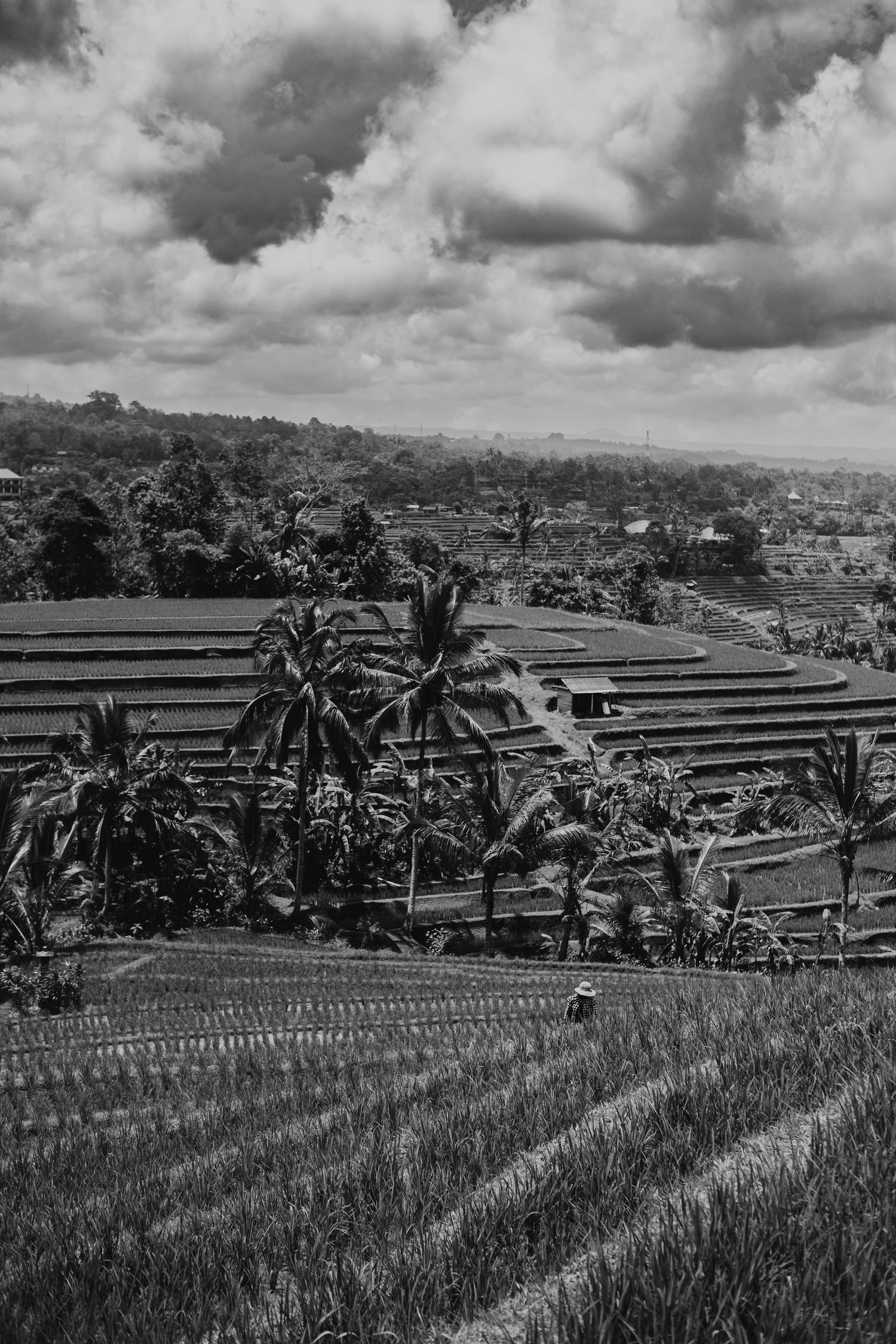 cinematic travel portrait with a scenic backdrop