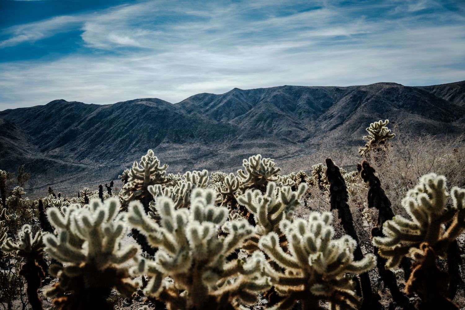 moody travel moment with natural light and soft tones