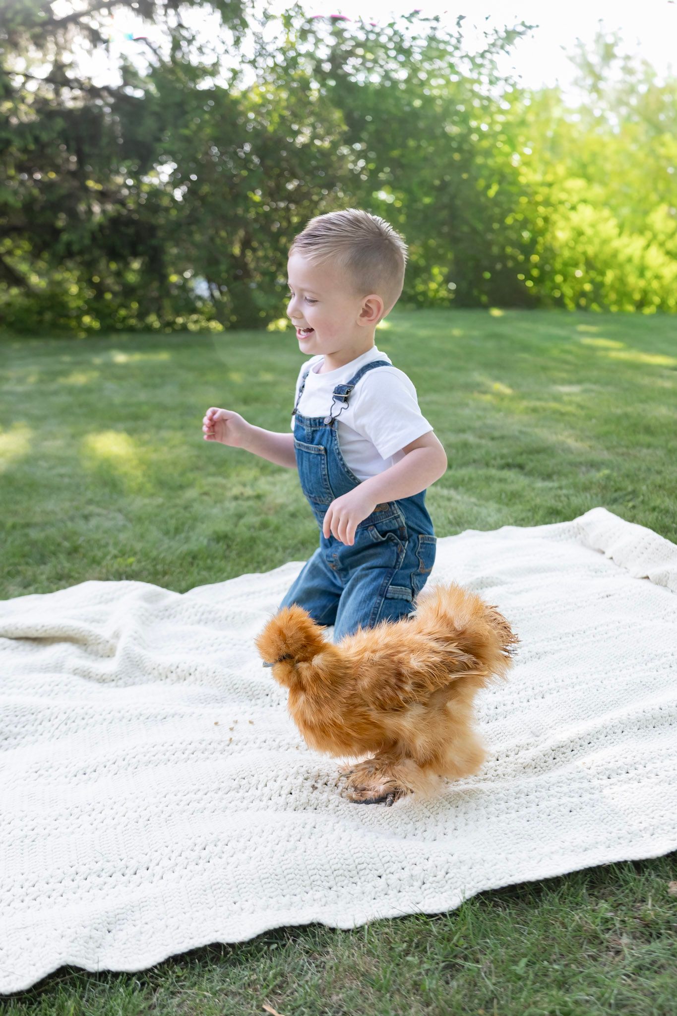 young child running with a chicken in a golden sunlight natural scenery