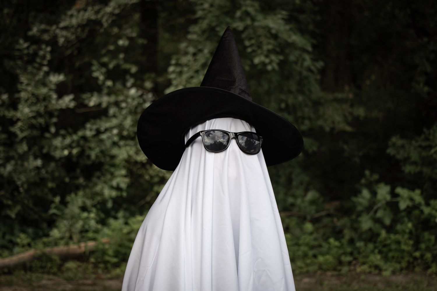 a close up portrait of an individual dressed as a ghost with a witch hat and sunglasses on in a nature scenery