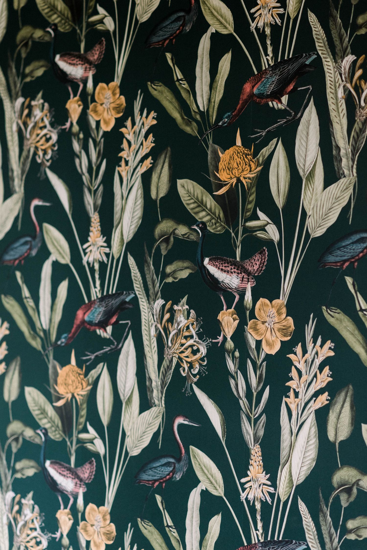 Beautiful wallpaper at Rust Manor House in Leesburg, Virginia