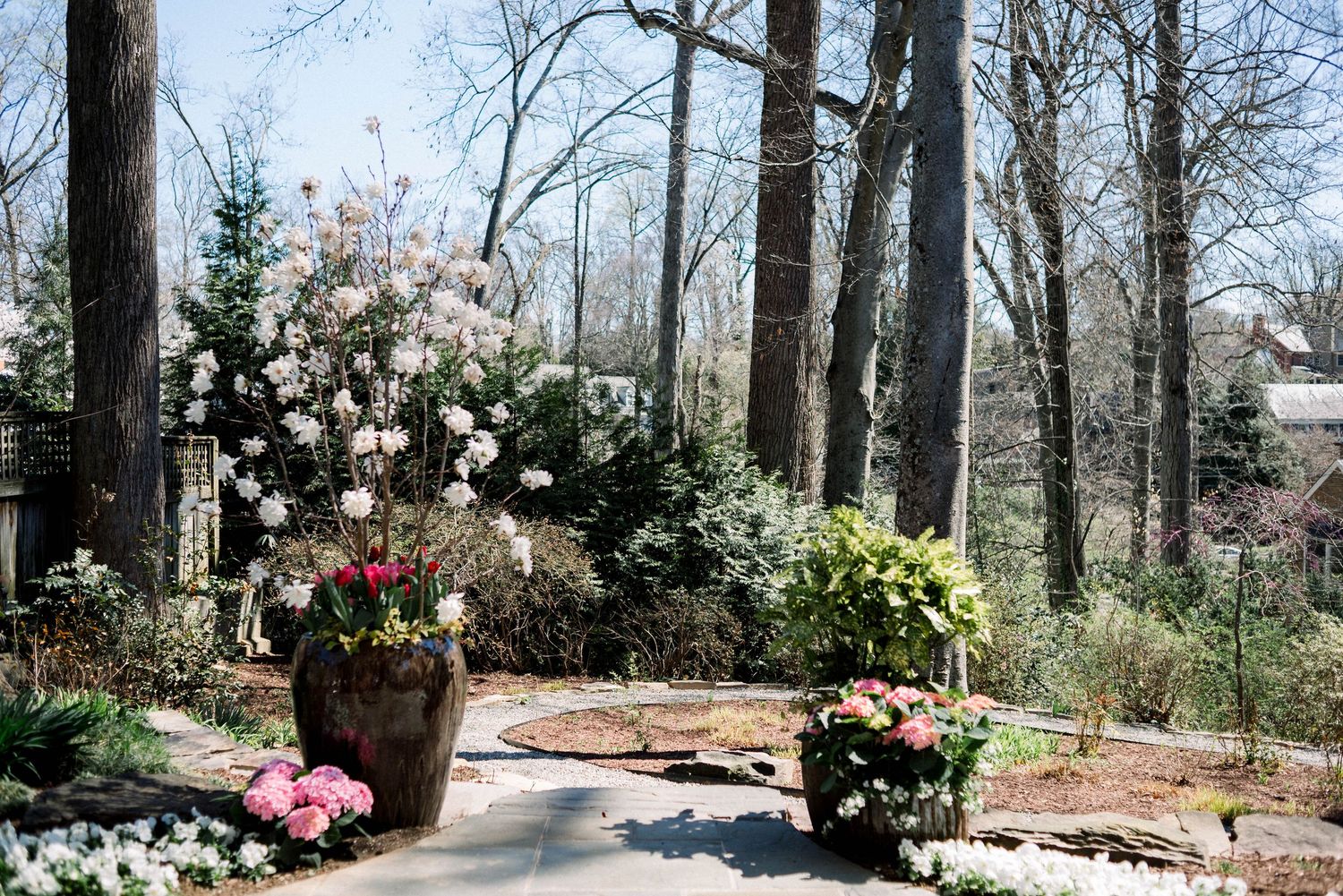 Backyard ceremony setting