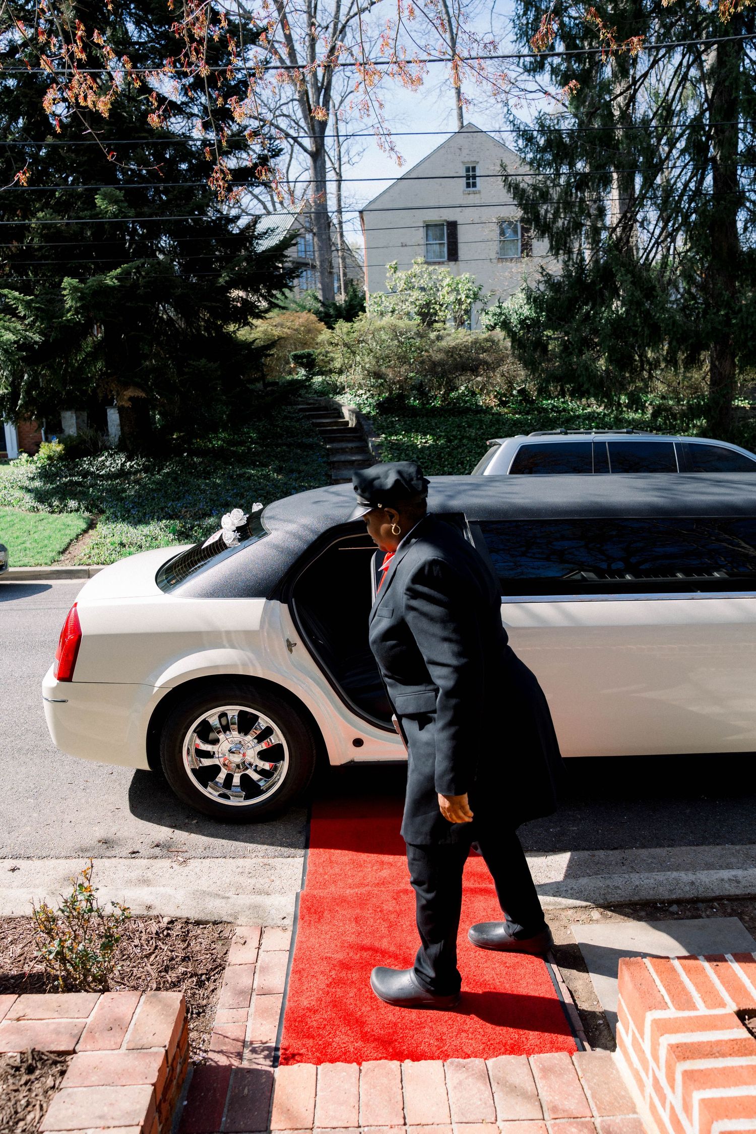 Rolling out the red carpet // Limo rides
