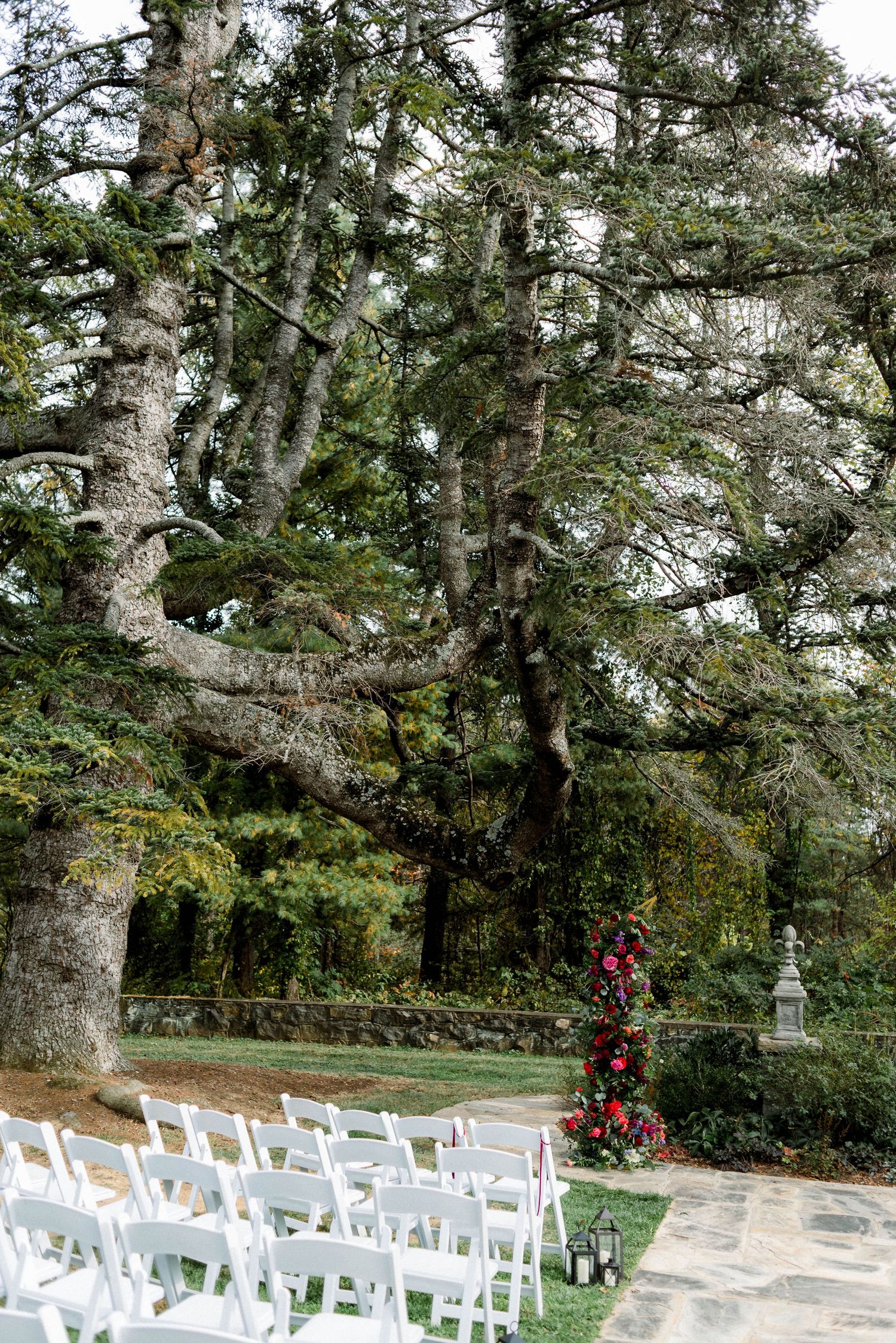 Gorgeous mature trees at wedding ceremony site at Rust Manor House