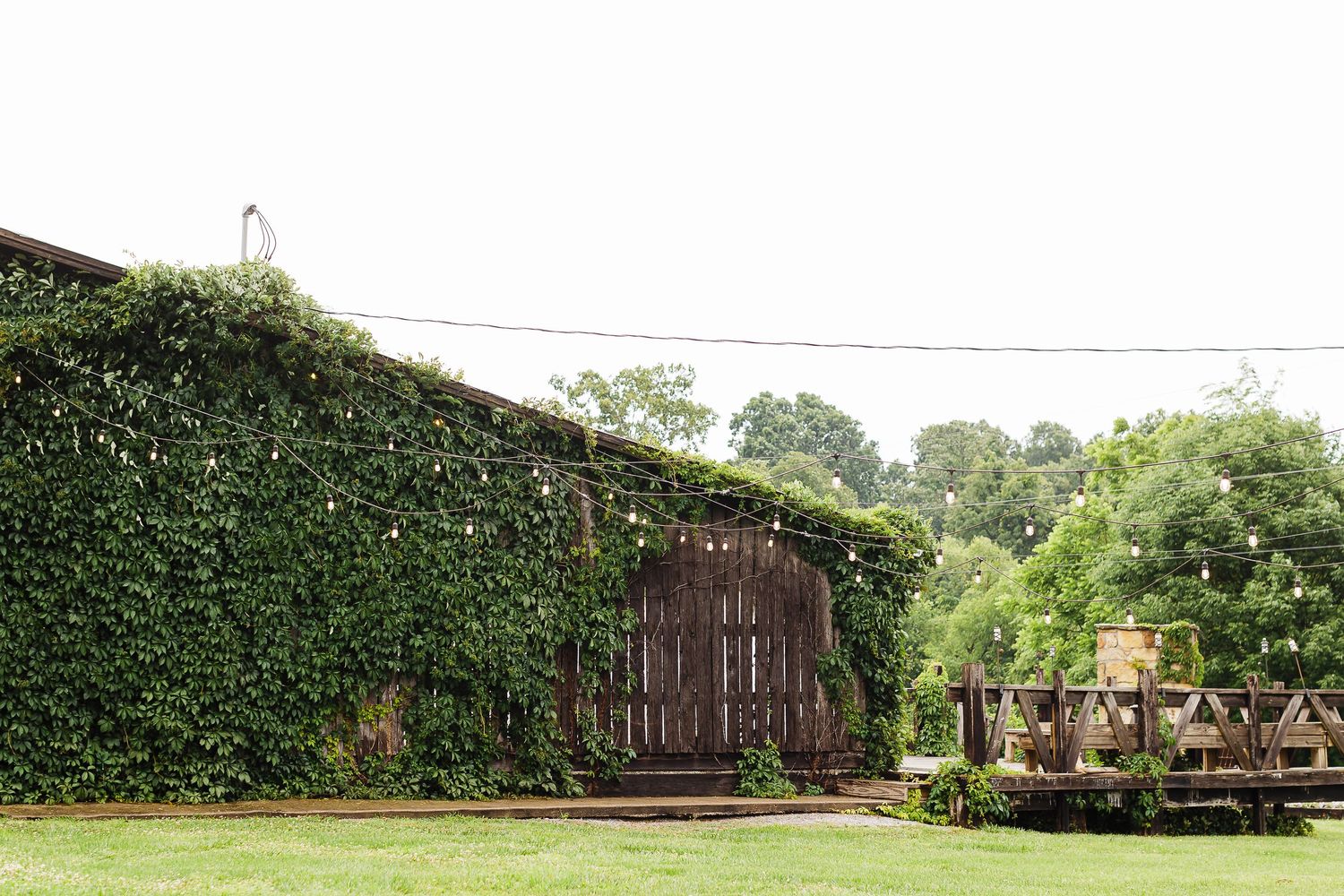 Rustic outdoor wedding venue with string lights and natural greenery.