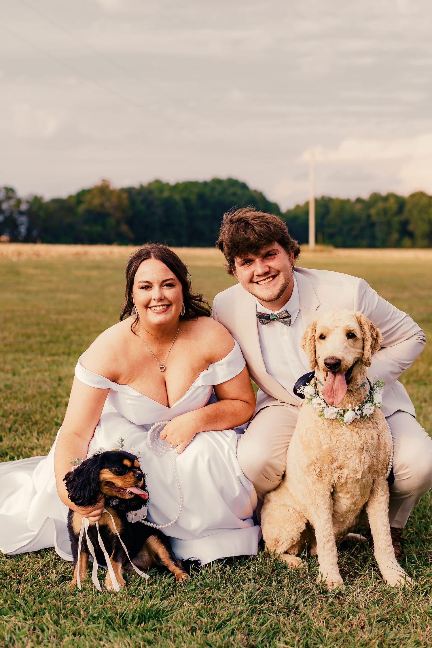 Wedding couple posing in a field with their three dogs wearing floral collars at sunset.