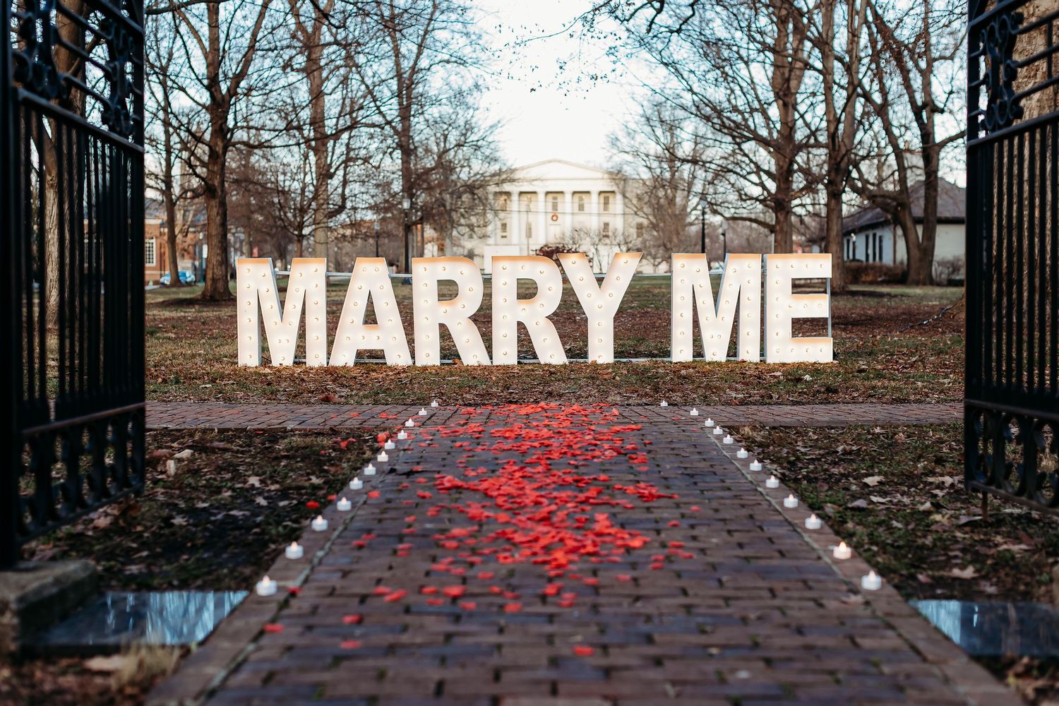 Large white MARRY ME letters with red rose petals scattered on a brick pathway leading to a building through iron gates.