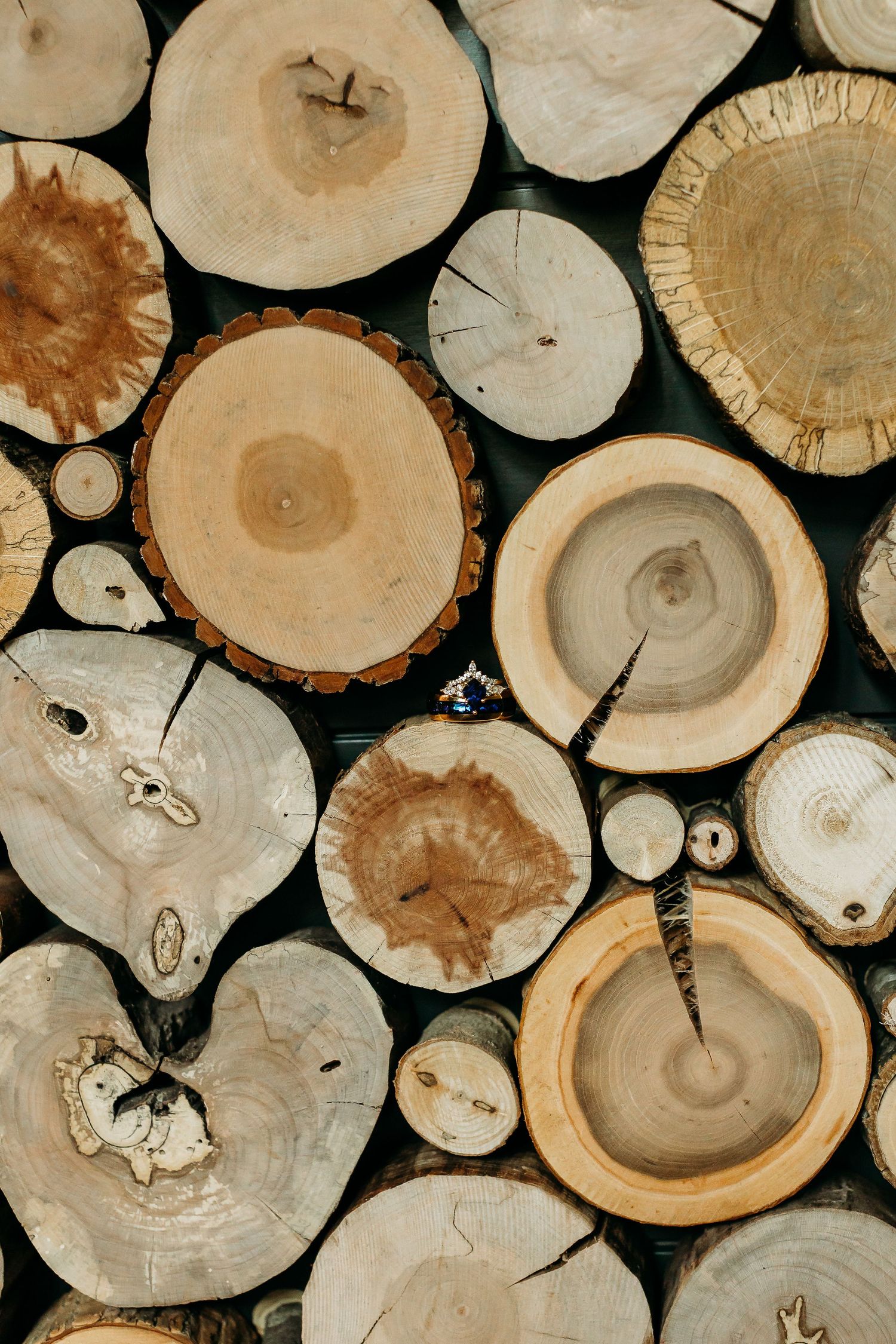 Natural wood log slices arranged in a rustic pattern showing tree ring details.