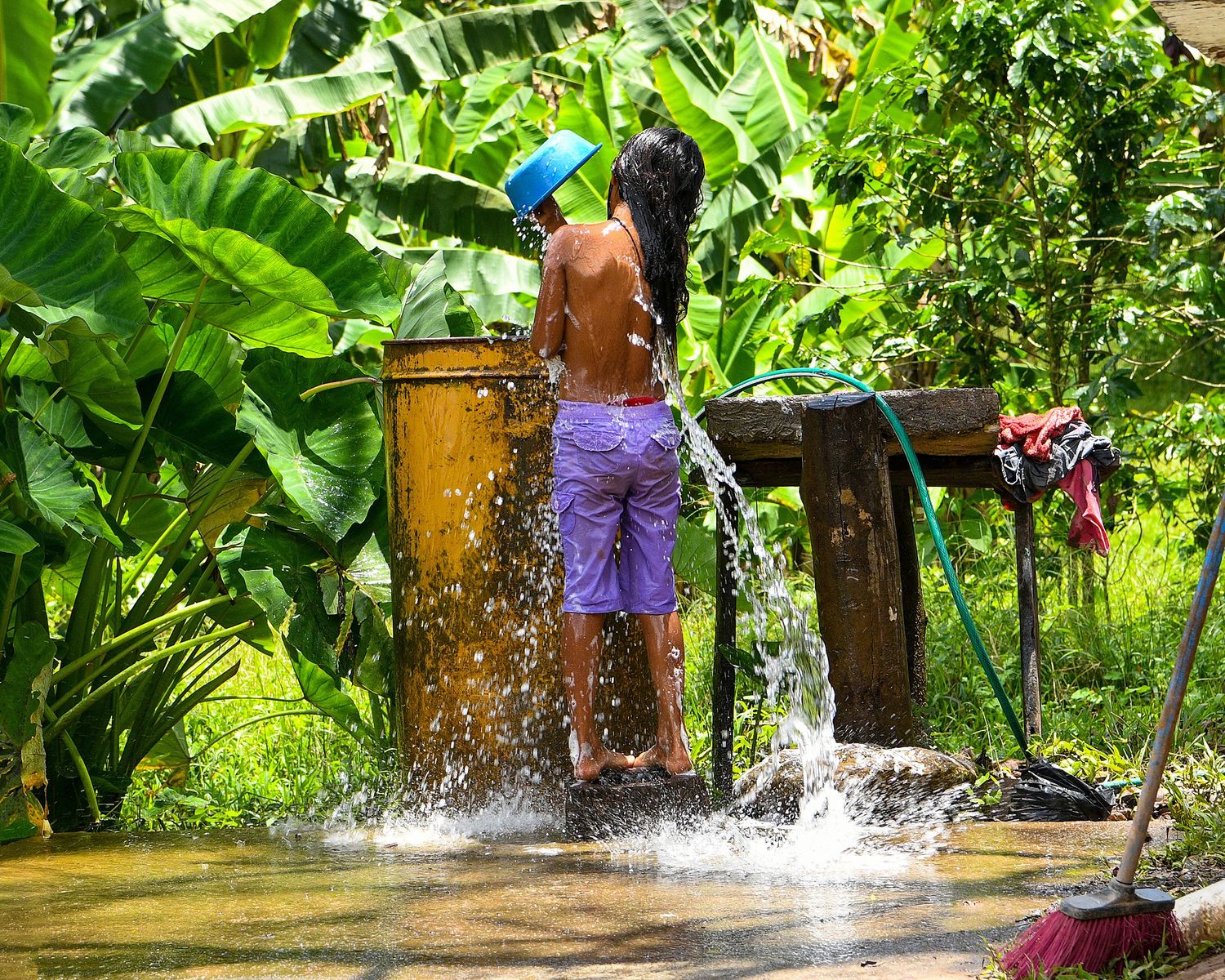 People splashing and playing in refreshing water surrounded by tropical greenery.