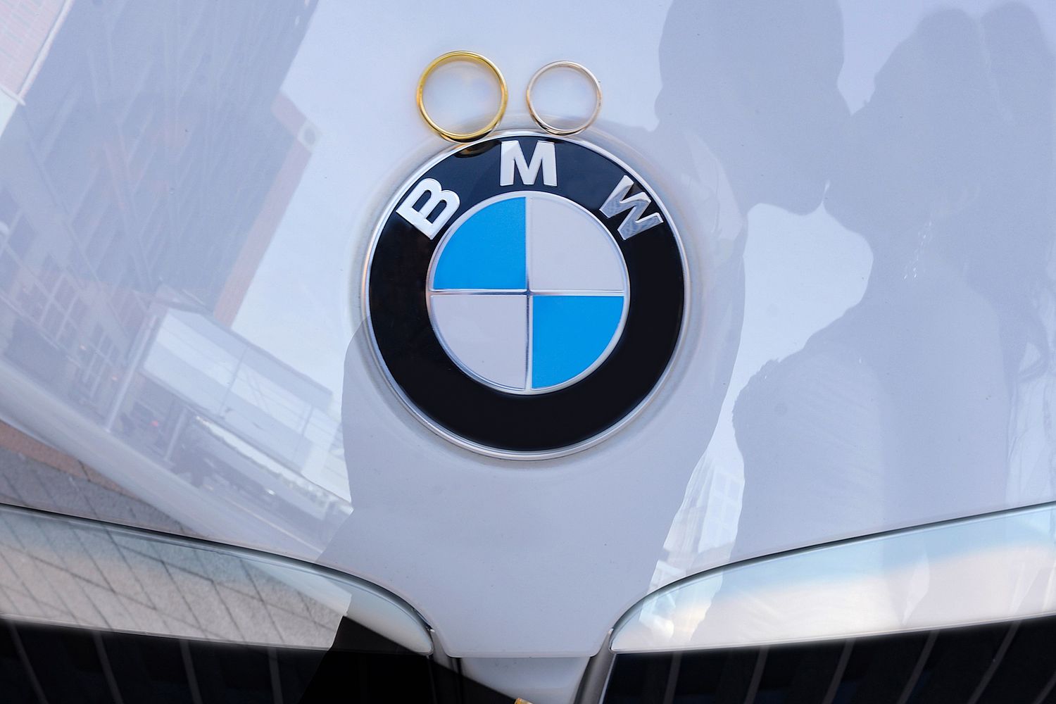 Row of BMW car emblems displayed on white vehicles.