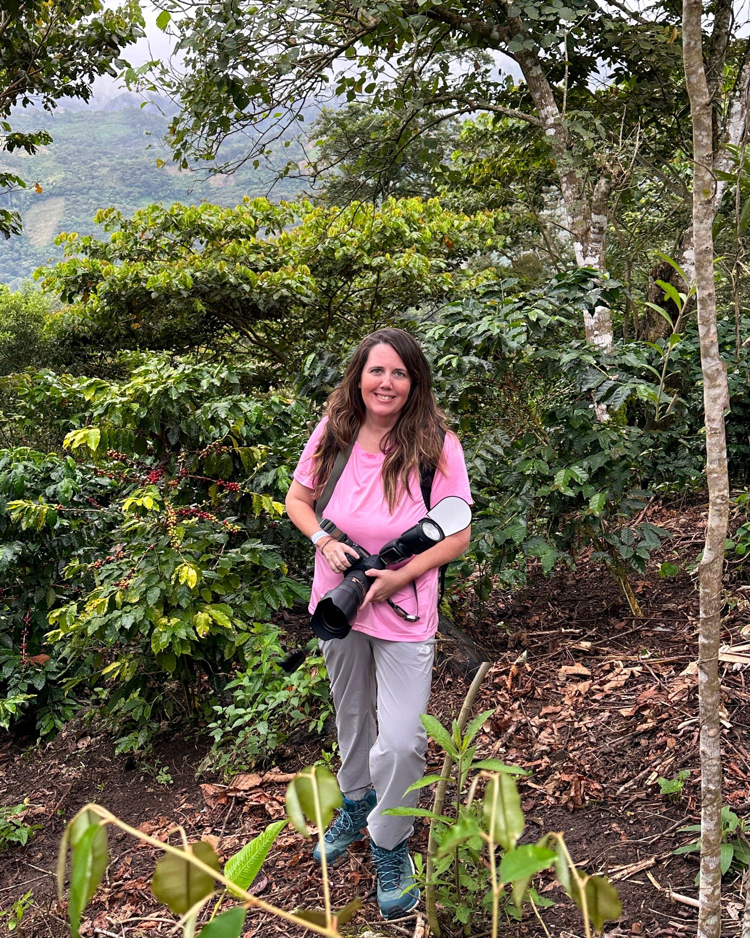 Hiking trail through lush tropical forest with mountain views in background.