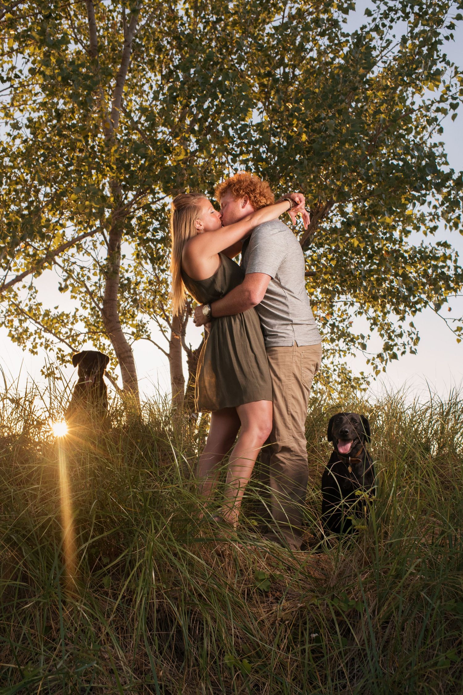 Romantic couple embracing in tall grass at sunset with two dogs watching nearby.