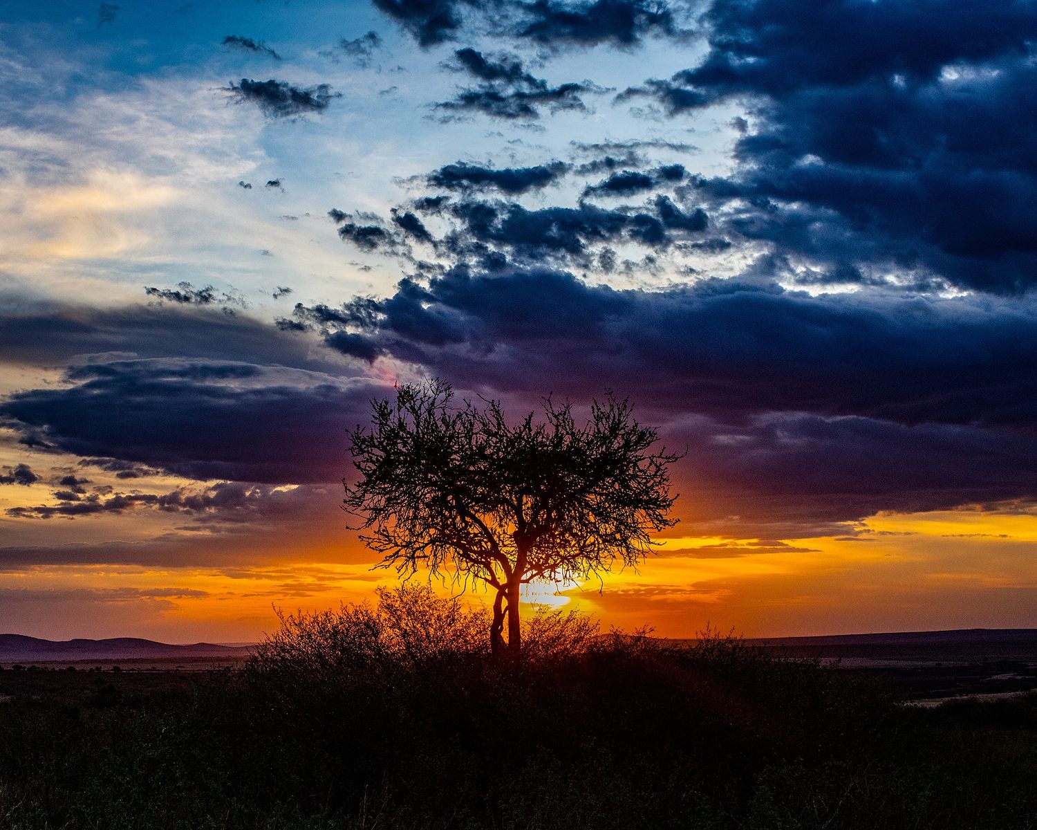 Dramatic panorama of an African sunset with silhouetted trees against an orange and purple sky.