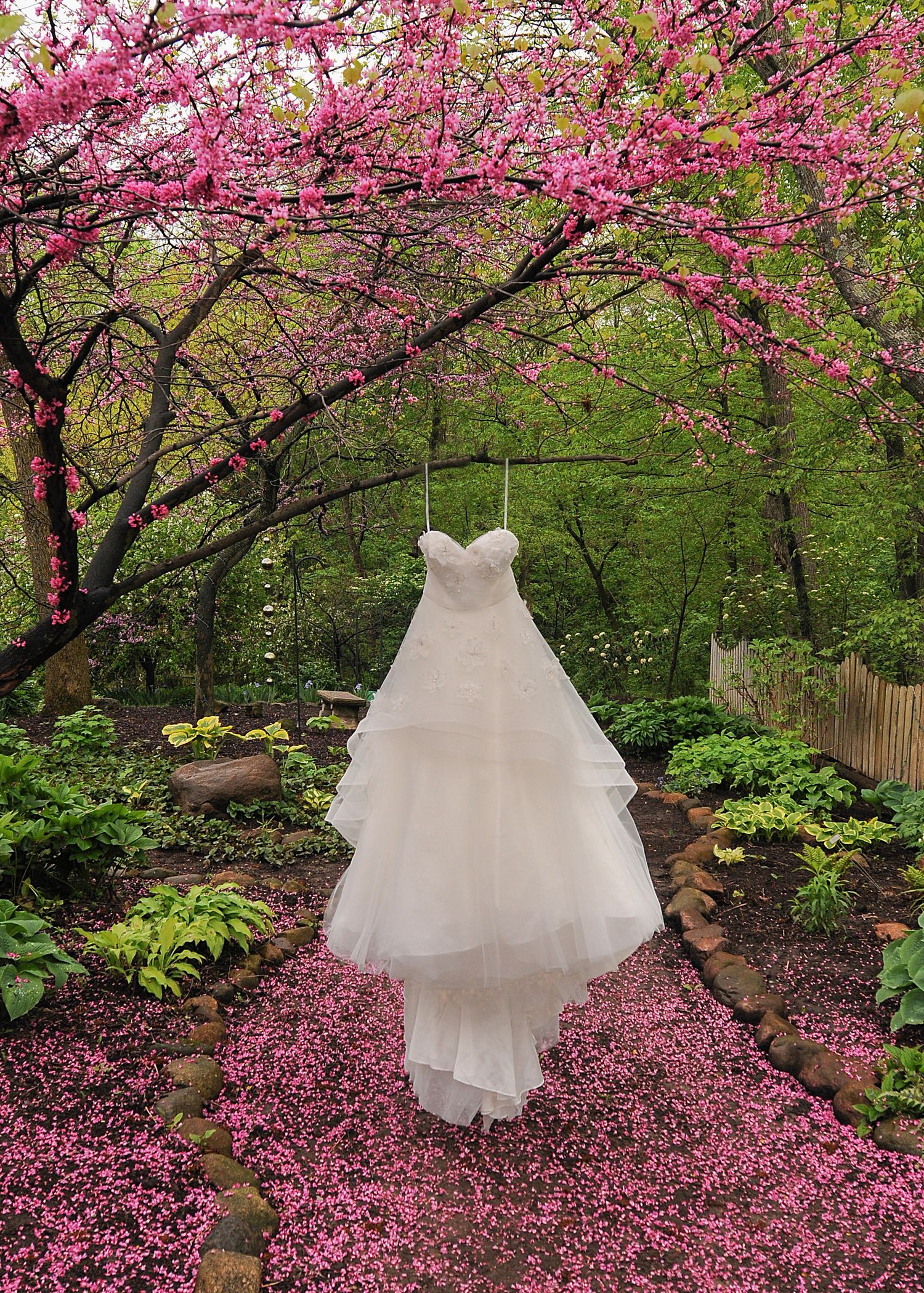 A white wedding dress hangs beneath blooming cherry blossom trees with scattered pink petals.