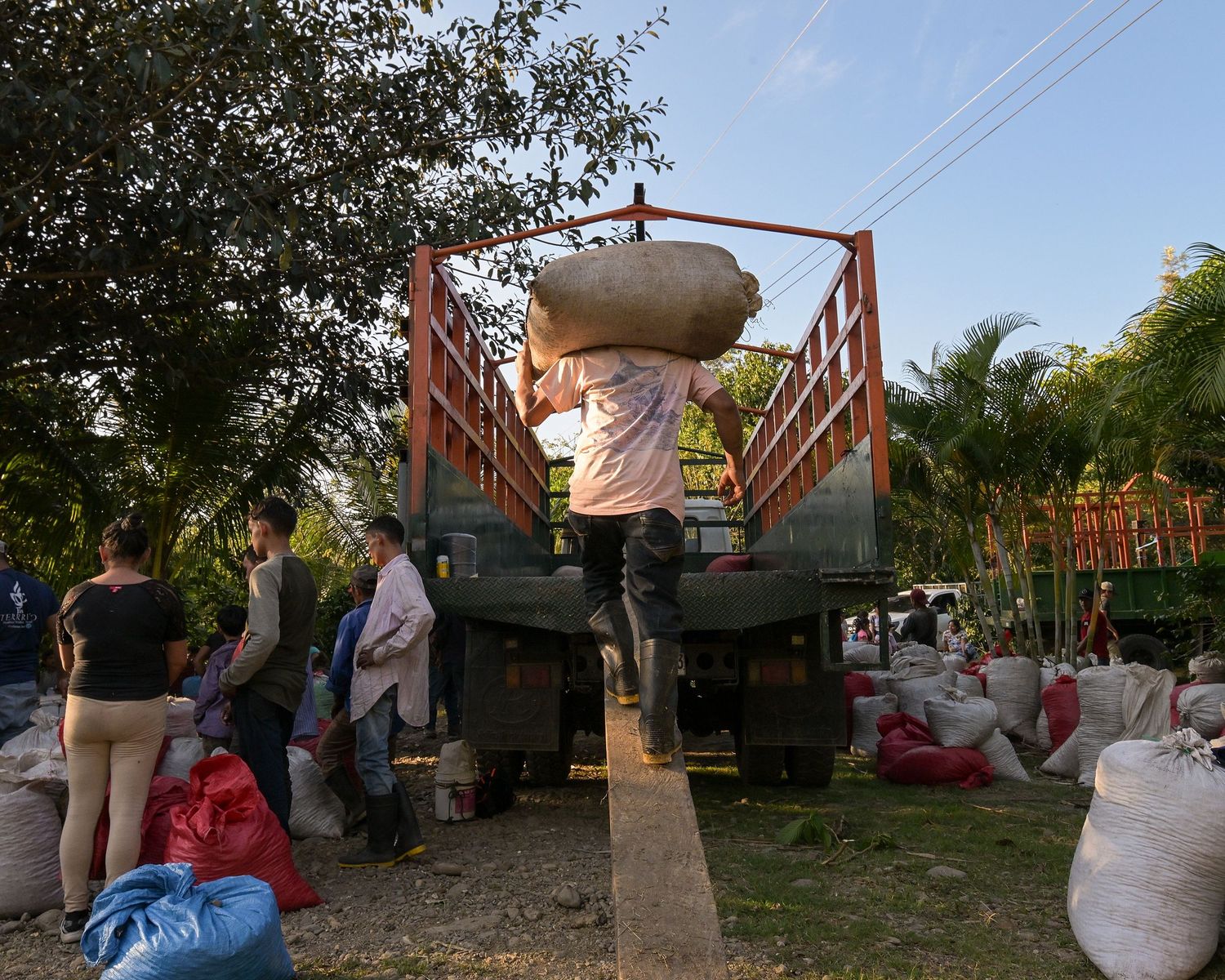 Coffee workers carrying heavy sacks of harvested beans at a processing facility.