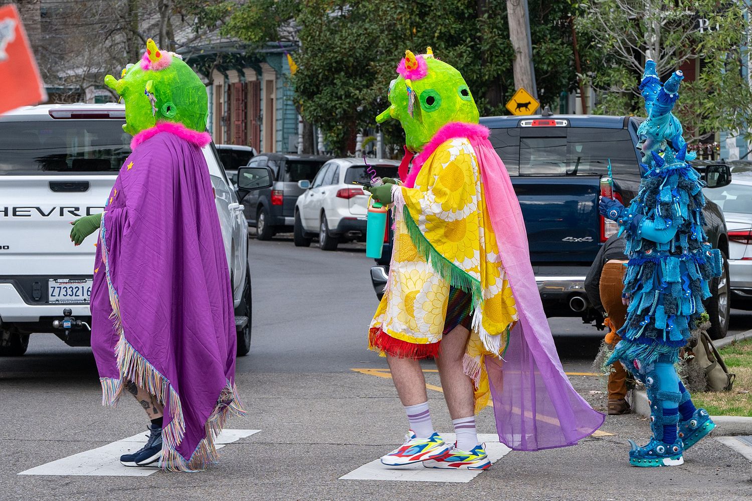 People in colorful Mardi Gras costumes walking down a street during daytime celebrations.