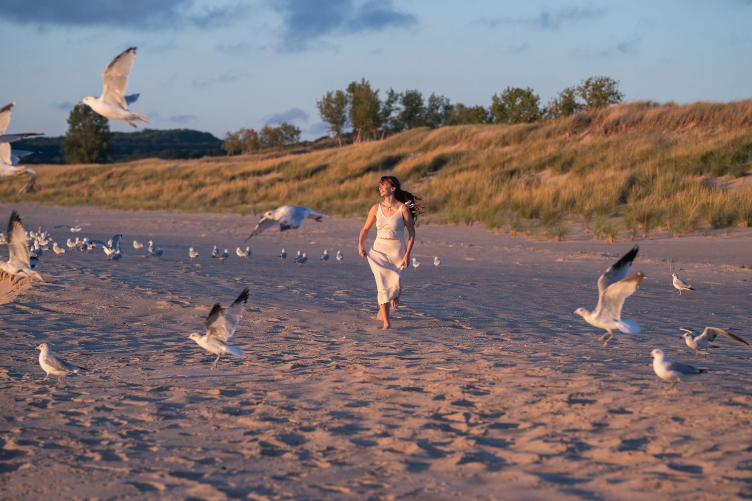 Seagulls scatter on sandy beach during golden sunset.