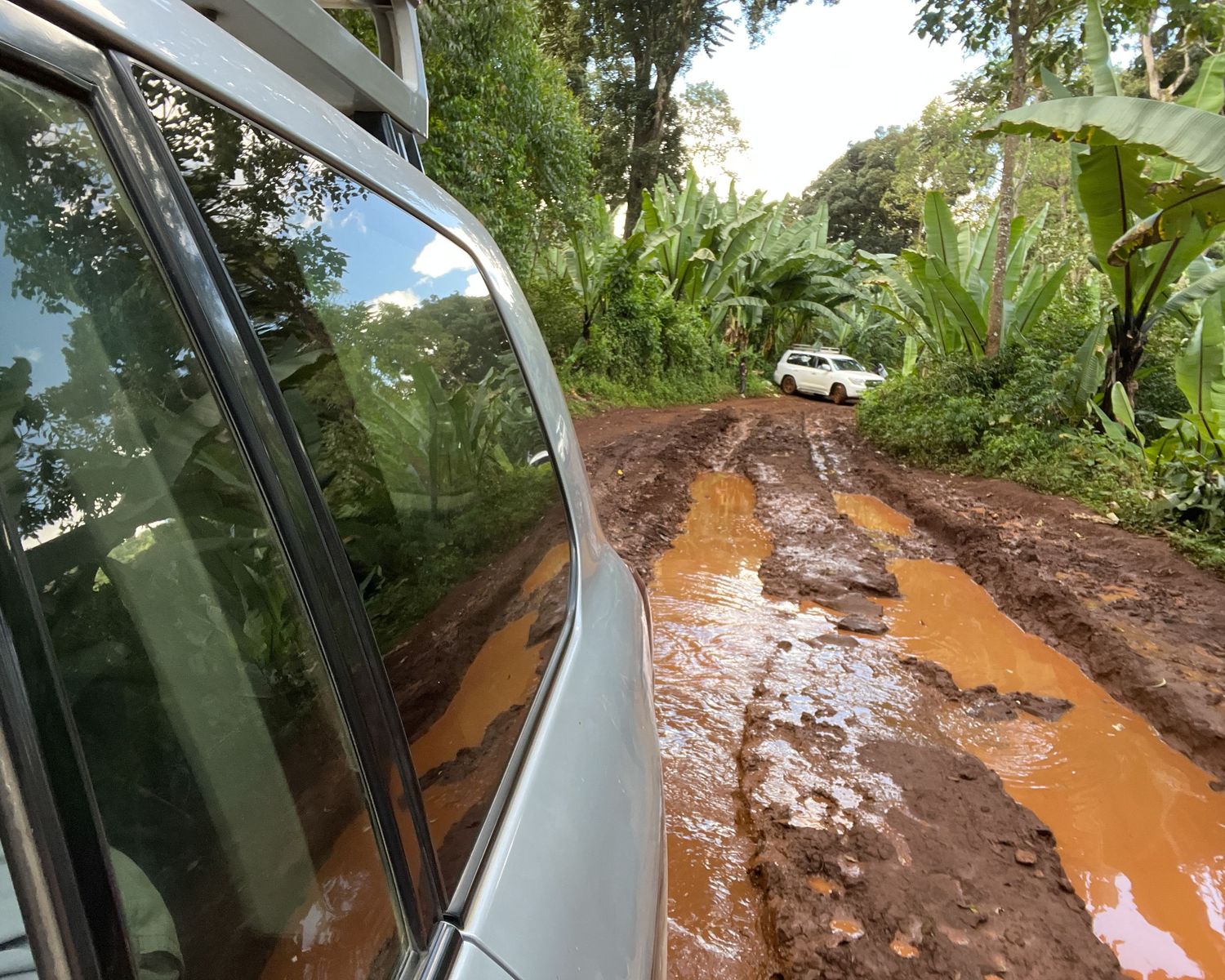 Muddy dirt road with vehicle tracks through tropical vegetation.