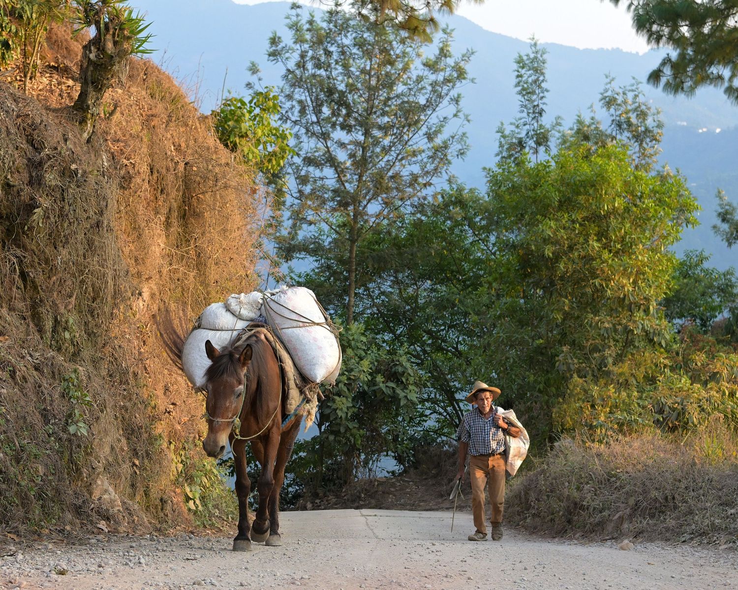 A scenic mountain trail with hikers carrying gear along a rocky path in natural surroundings.