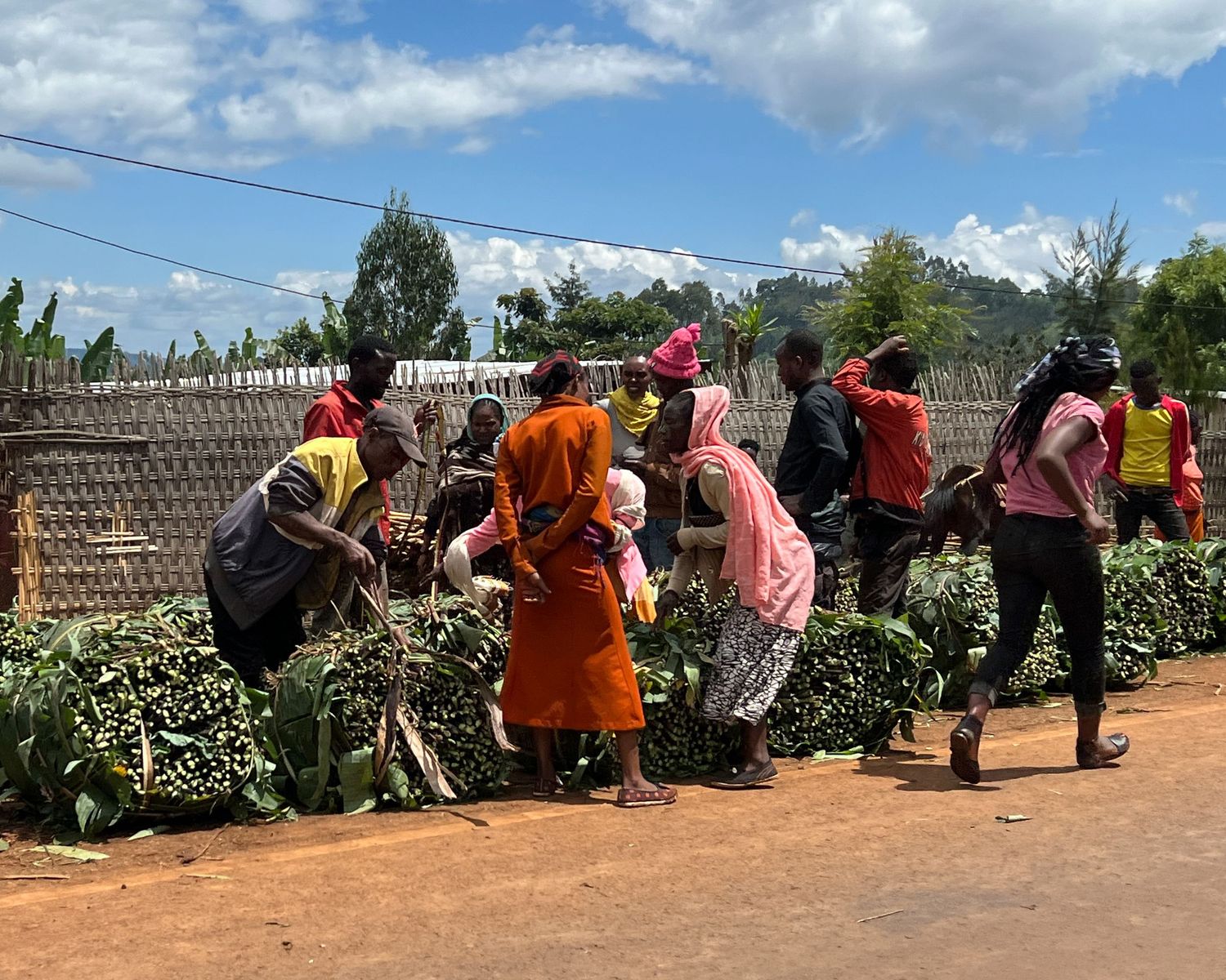 People gathered along a fence line under blue sky with white clouds.