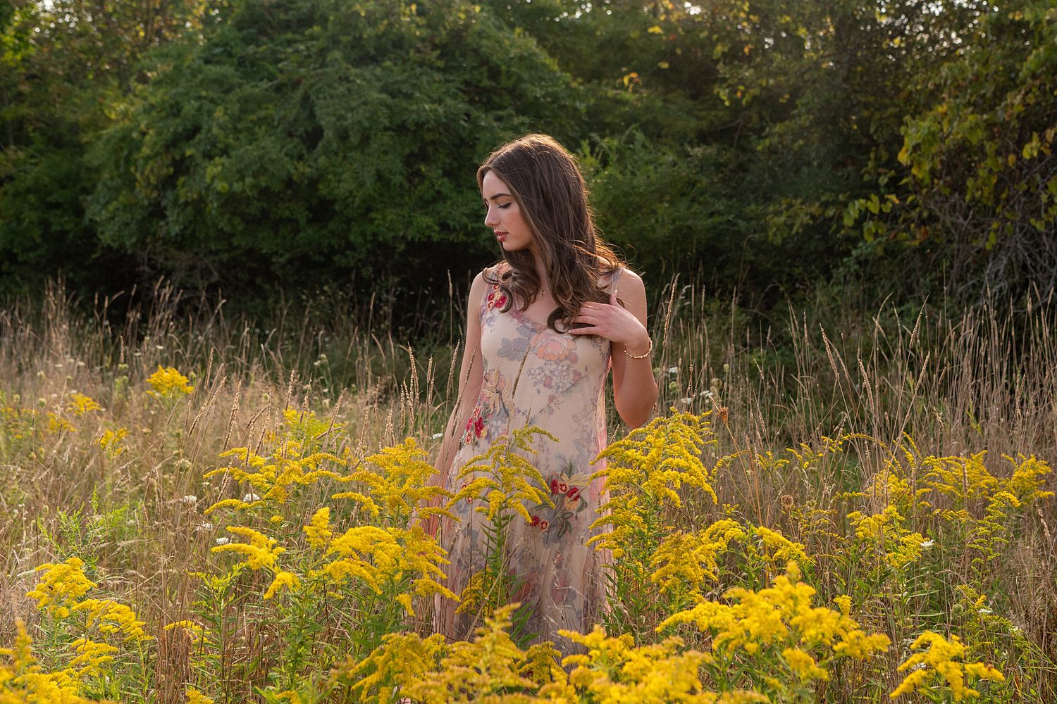A dreamy scene in a field of golden wildflowers on a late summer afternoon.